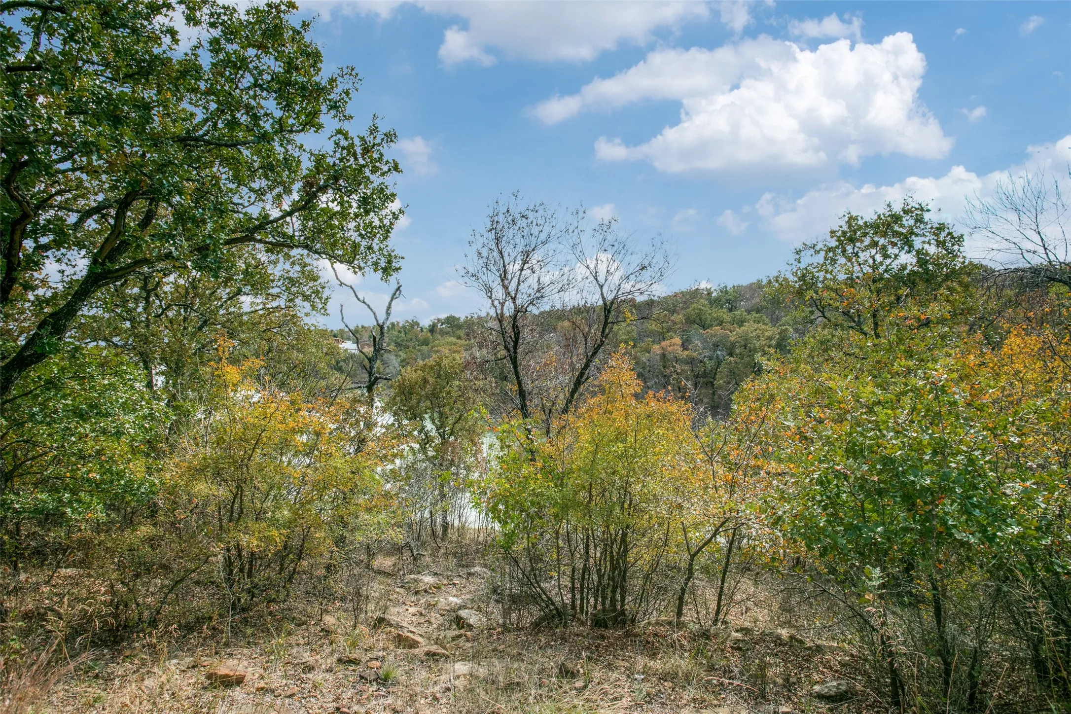Unimproved Land For Sale in Wise County , 108 Three Forks Crossing, Chico, Texas 76431, 0, 0, Garage spaces, 0 Sqft, built in 0, mls#21229203, Real Estate Agent in Chico, Homes For Sale in Wise county, Homes For Sale in Chico, Realtor in Chico Texas, Real Estate Brokerage Independent Realty Texas, Luminita Cordes Realtor
