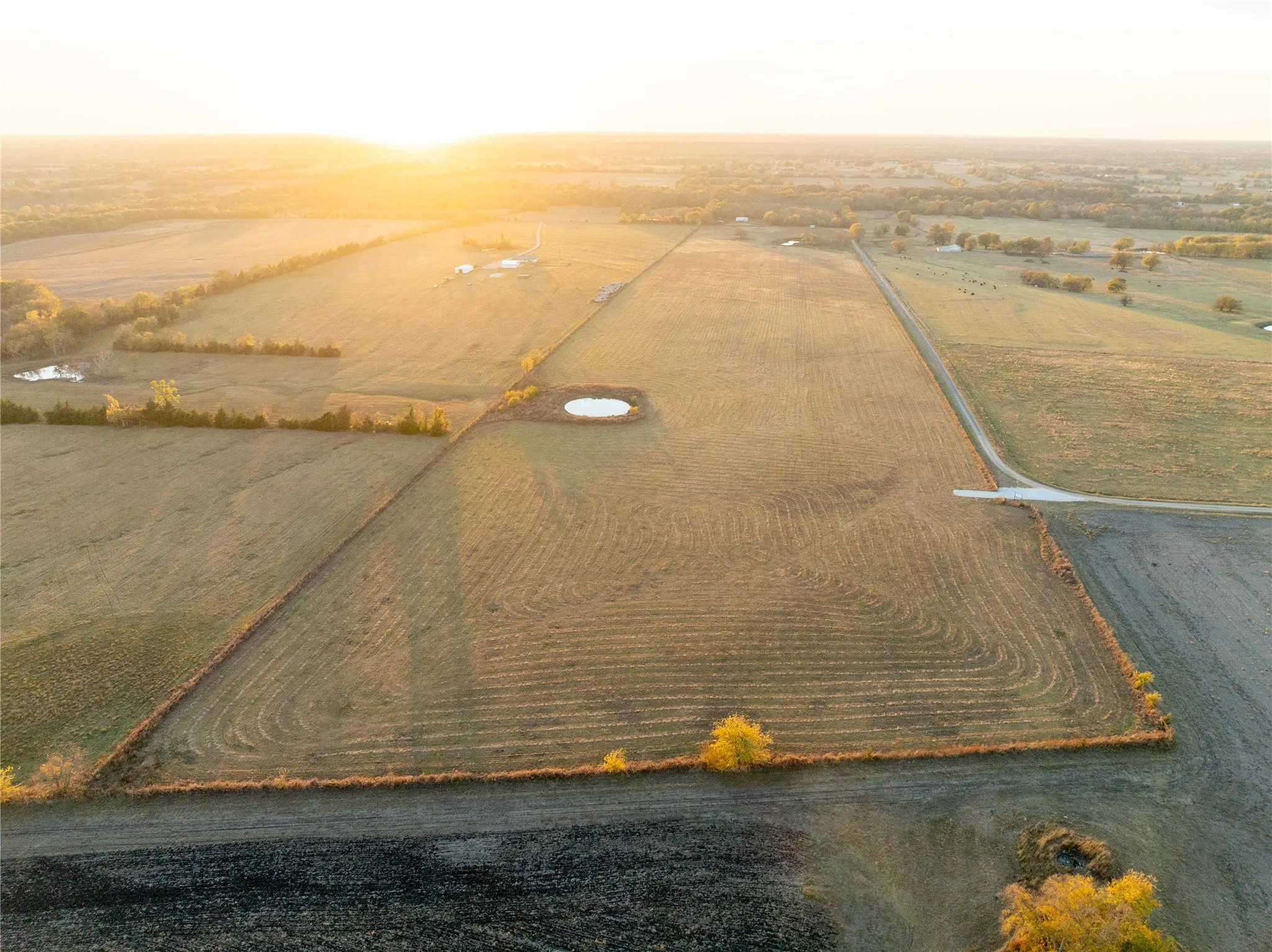Unimproved Land For Sale in Lamar County , TBD LOT 15 CR 15200, Pattonville, Texas 75468, 0, 0, Garage spaces, 0 Sqft, built in 0, mls#21229845, Real Estate Agent in Pattonville, Homes For Sale in Lamar county, Homes For Sale in Pattonville, Realtor in Pattonville Texas, Real Estate Brokerage Independent Realty Texas, Luminita Cordes Realtor