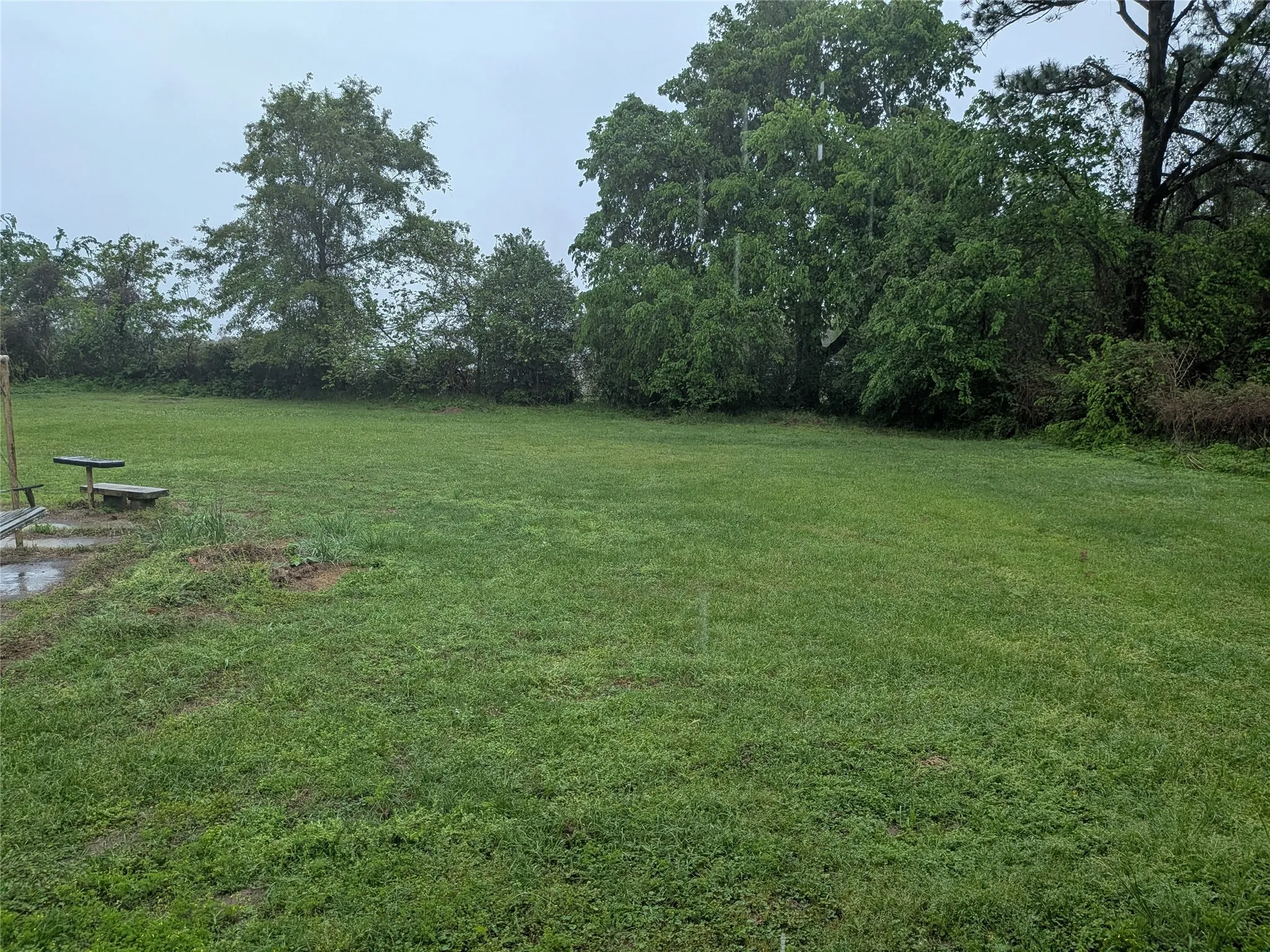 View of grassy yard