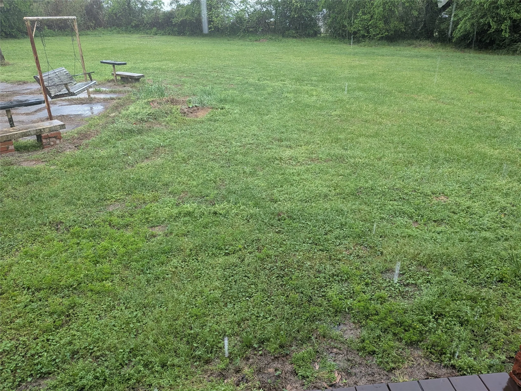 View of grassy yard