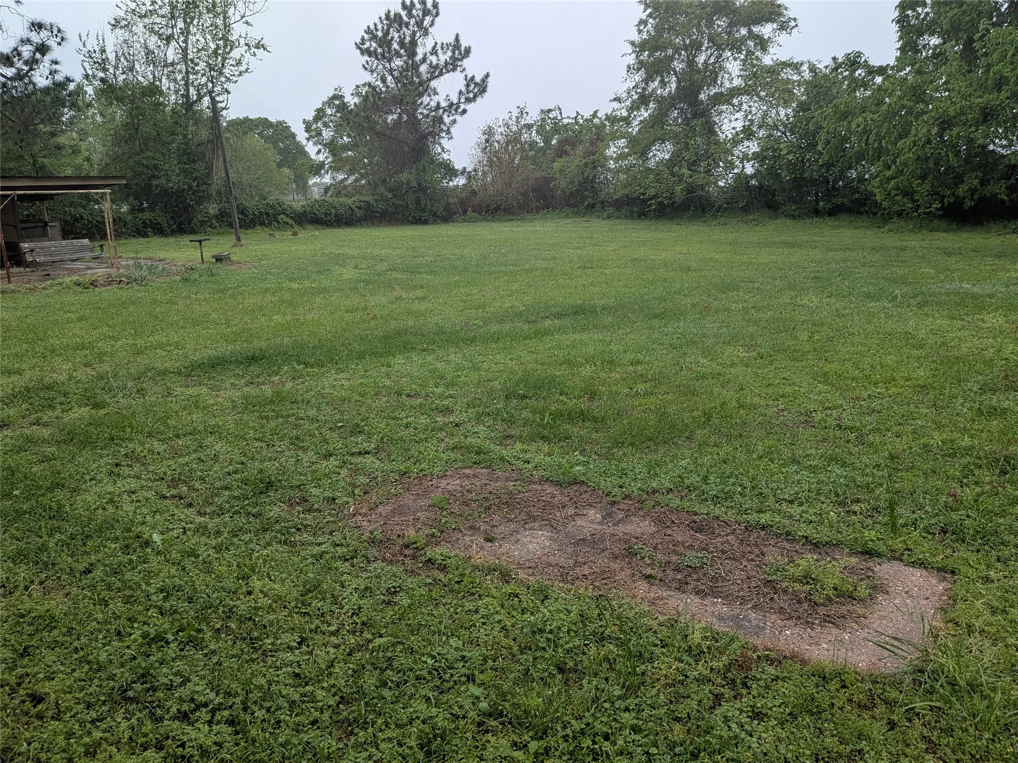 View of grassy yard