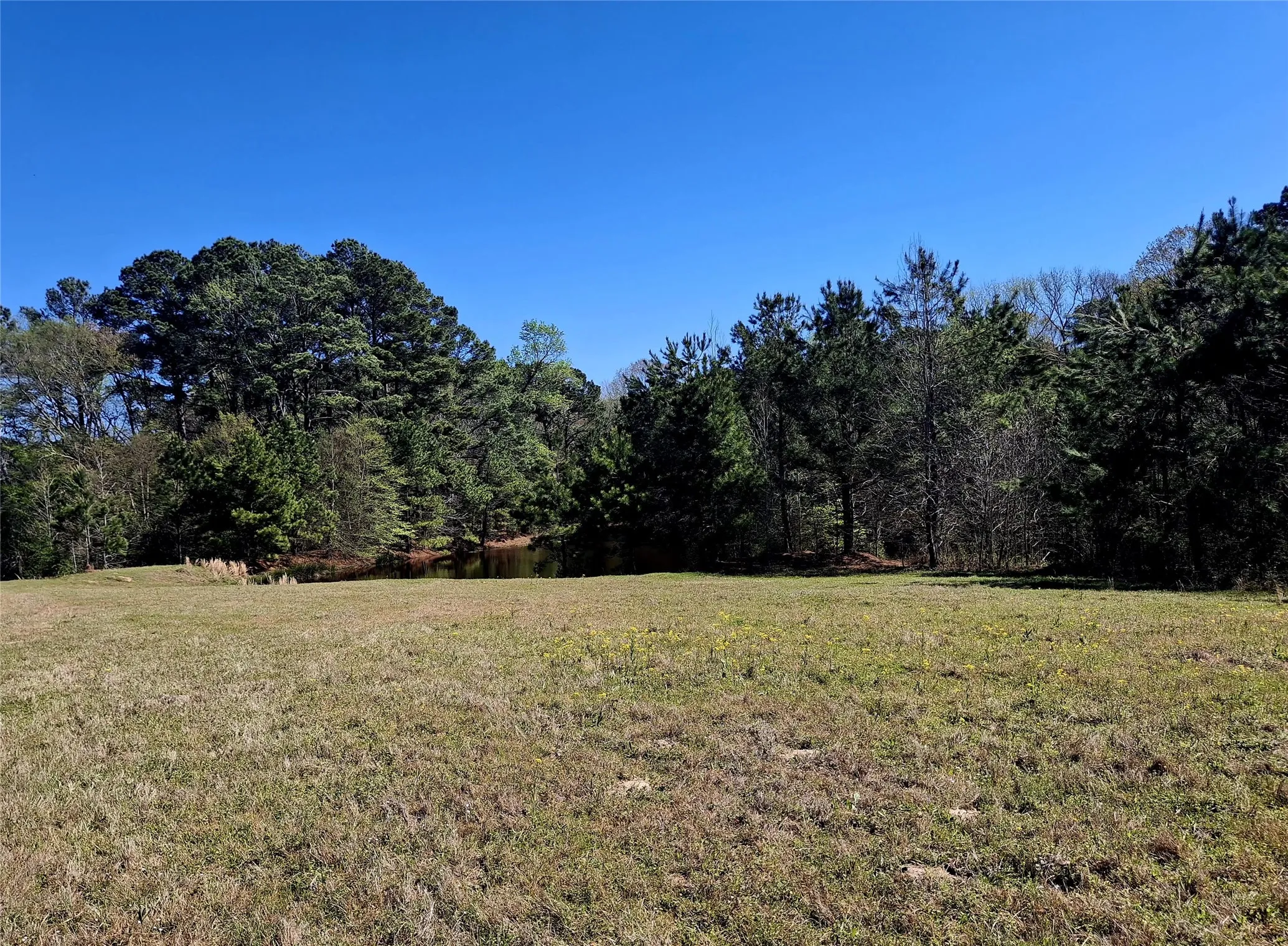 Farm For Sale in Cherokee County , 435 Fm 2064 N, Jacksonville, Texas 75766, 2 Bedrooms, 1 Bathroom, Garage spaces, 910 Sqft, built in 0, Preowned, Price $887,500, mls#21229818, Real Estate Agent in Jacksonville, Homes For Sale in Cherokee county, Homes For Sale in Jacksonville, Realtor in Jacksonville Texas, Real Estate Brokerage Independent Realty Texas, Luminita Cordes Realtor