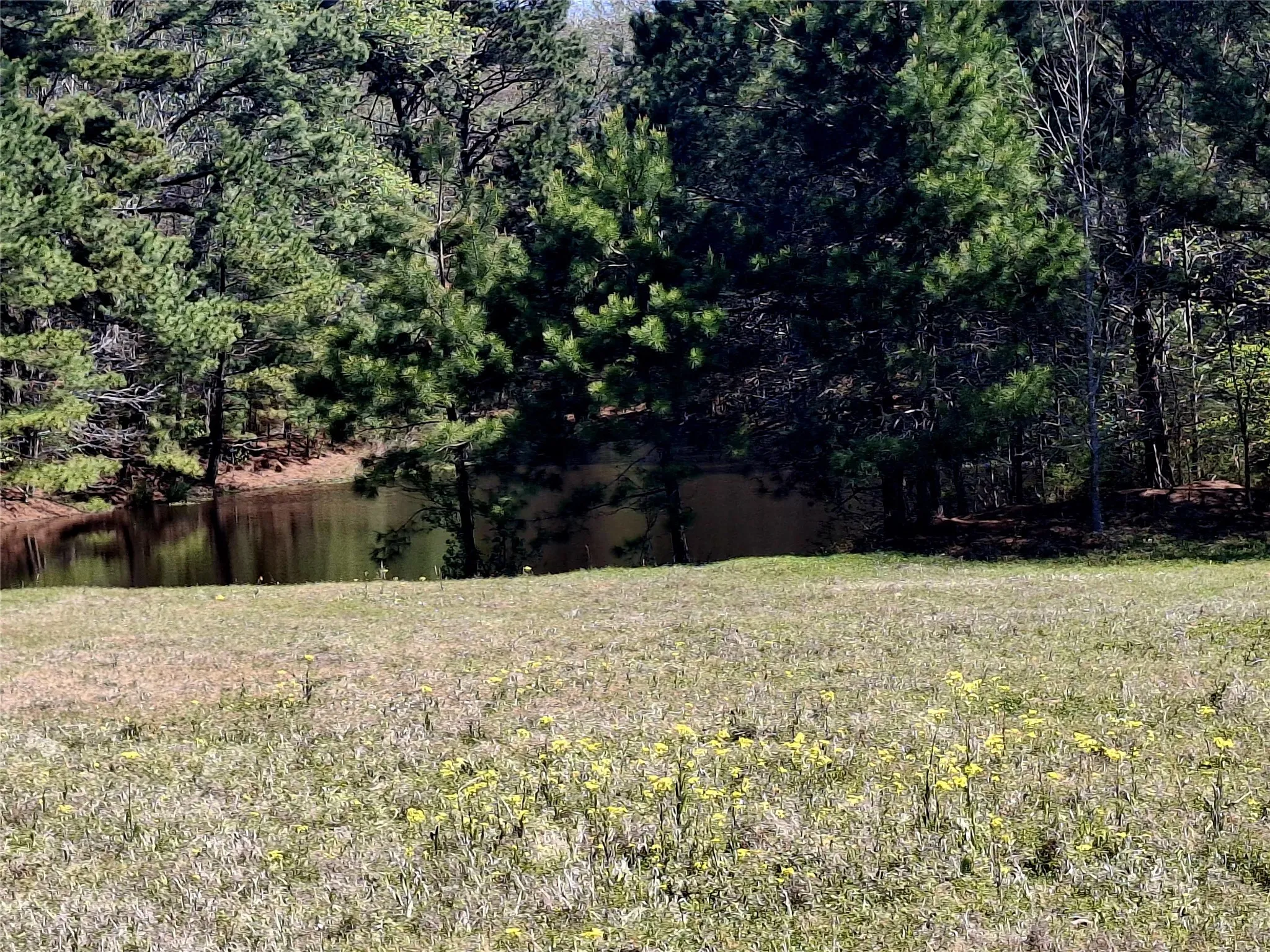 Farm For Sale in Cherokee County , 435 Fm 2064 N, Jacksonville, Texas 75766, 2 Bedrooms, 1 Bathroom, Garage spaces, 910 Sqft, built in 0, Preowned, Price $887,500, mls#21229818, Real Estate Agent in Jacksonville, Homes For Sale in Cherokee county, Homes For Sale in Jacksonville, Realtor in Jacksonville Texas, Real Estate Brokerage Independent Realty Texas, Luminita Cordes Realtor