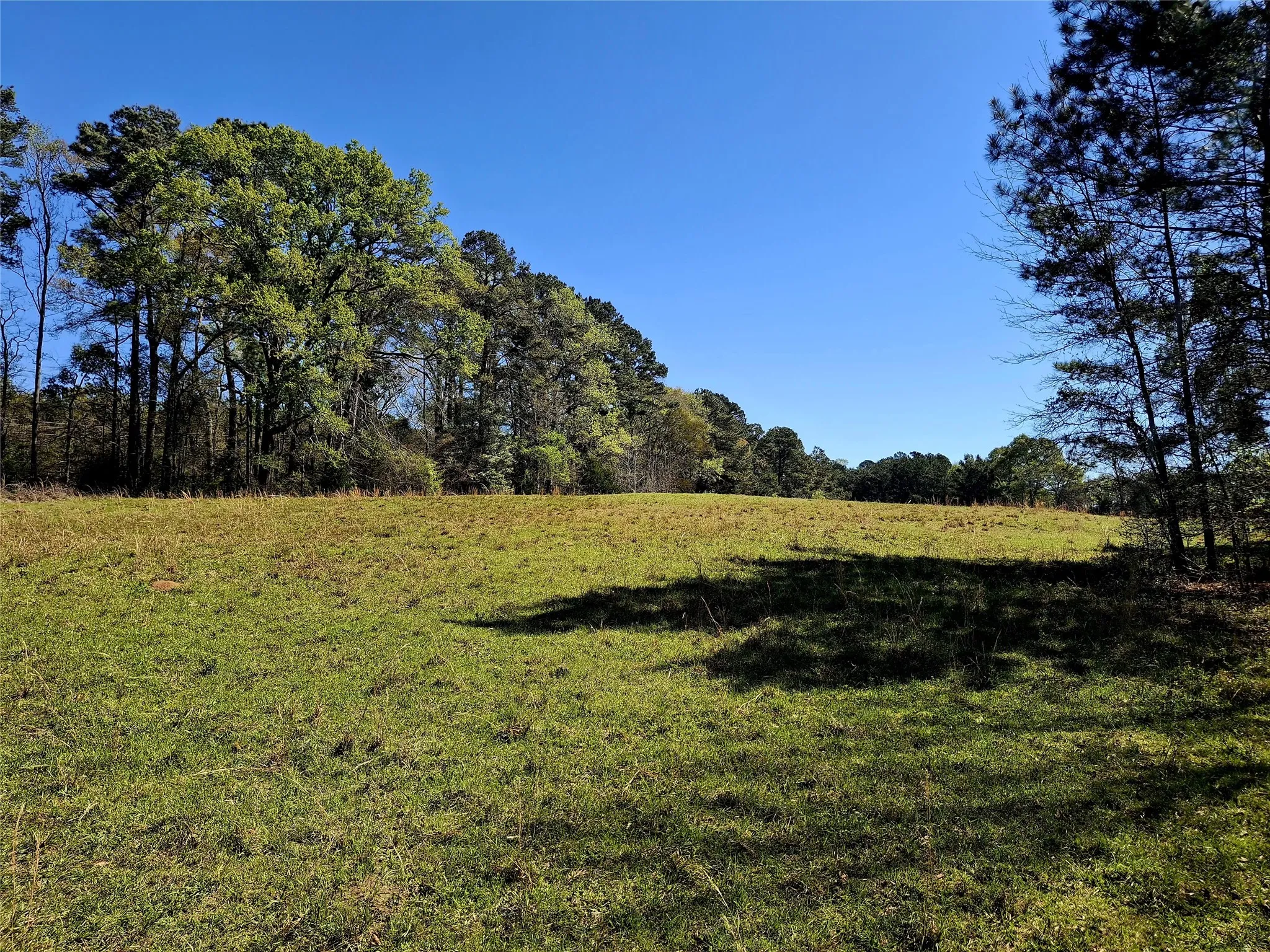 Farm For Sale in Cherokee County , 435 Fm 2064 N, Jacksonville, Texas 75766, 2 Bedrooms, 1 Bathroom, Garage spaces, 910 Sqft, built in 0, Preowned, Price $887,500, mls#21229818, Real Estate Agent in Jacksonville, Homes For Sale in Cherokee county, Homes For Sale in Jacksonville, Realtor in Jacksonville Texas, Real Estate Brokerage Independent Realty Texas, Luminita Cordes Realtor