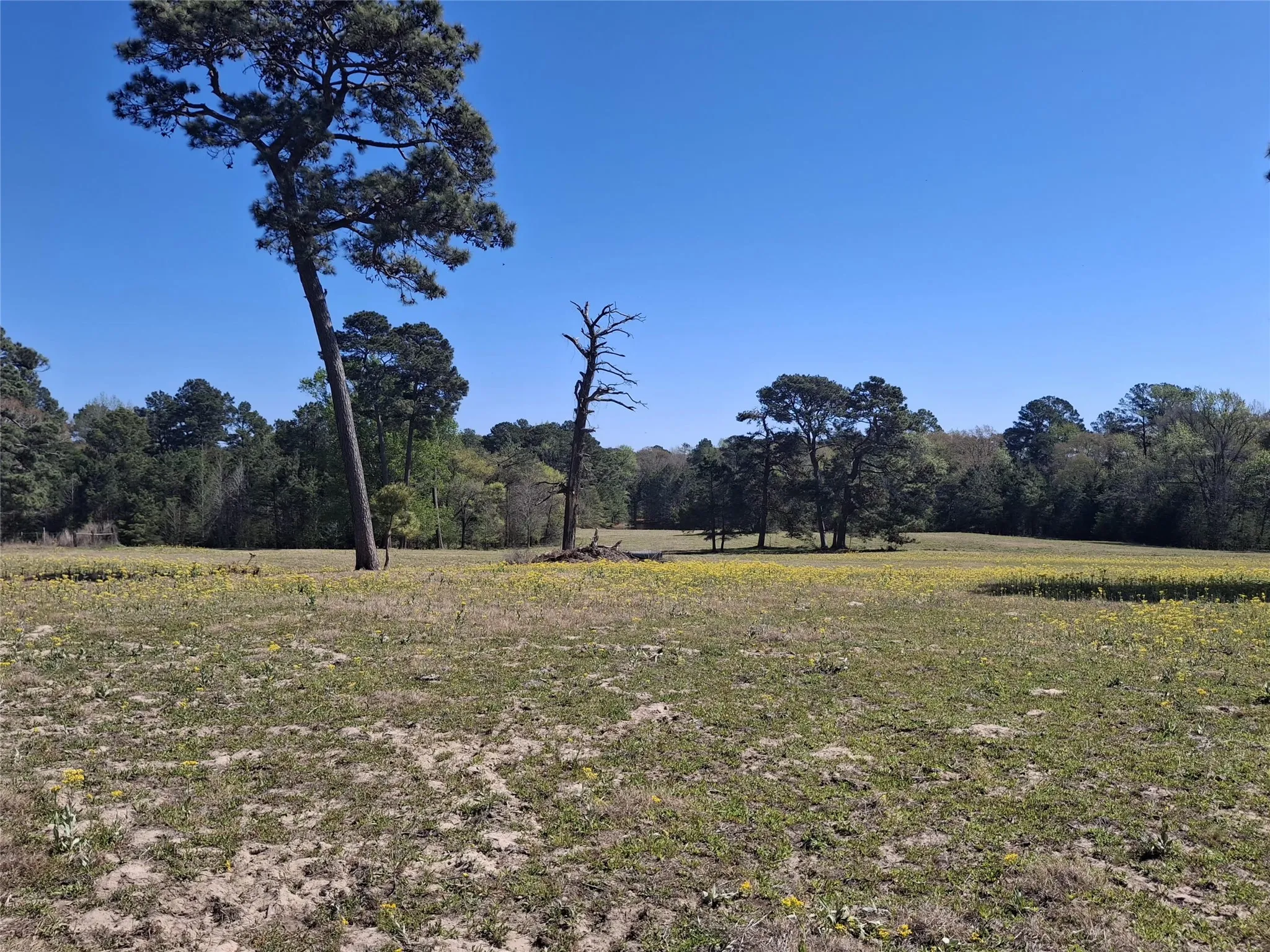 Farm For Sale in Cherokee County , 435 Fm 2064 N, Jacksonville, Texas 75766, 2 Bedrooms, 1 Bathroom, Garage spaces, 910 Sqft, built in 0, Preowned, Price $887,500, mls#21229818, Real Estate Agent in Jacksonville, Homes For Sale in Cherokee county, Homes For Sale in Jacksonville, Realtor in Jacksonville Texas, Real Estate Brokerage Independent Realty Texas, Luminita Cordes Realtor