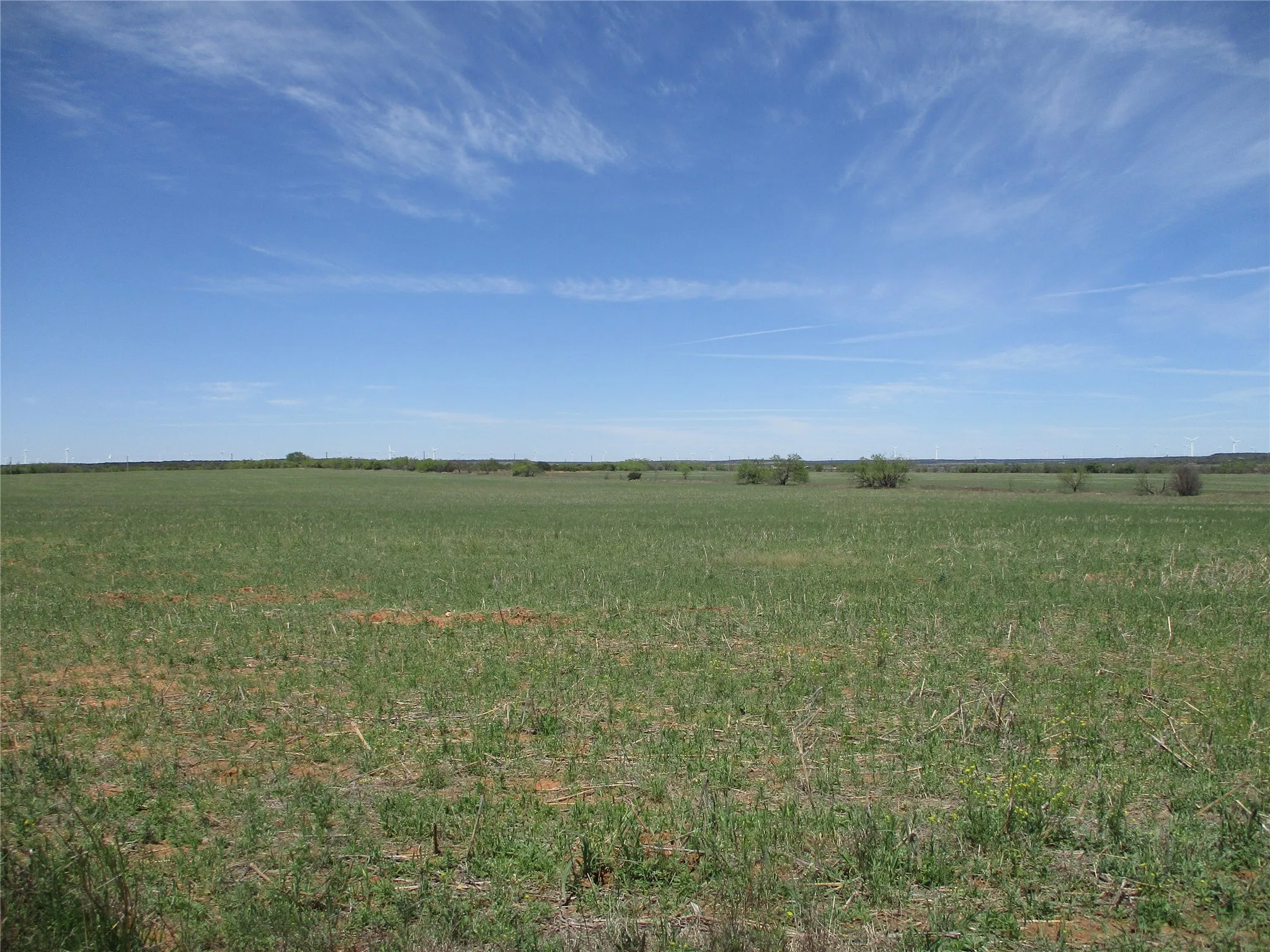 Ranch For Sale in Taylor County , TBD FM 1086 FM 1086, No City, Texas 75966, 0, 0, Garage spaces, 0 Sqft, built in 0, mls#21230148, Real Estate Agent in No City, Homes For Sale in Taylor county, Homes For Sale in No City, Realtor in No City Texas, Real Estate Brokerage Independent Realty Texas, Luminita Cordes Realtor