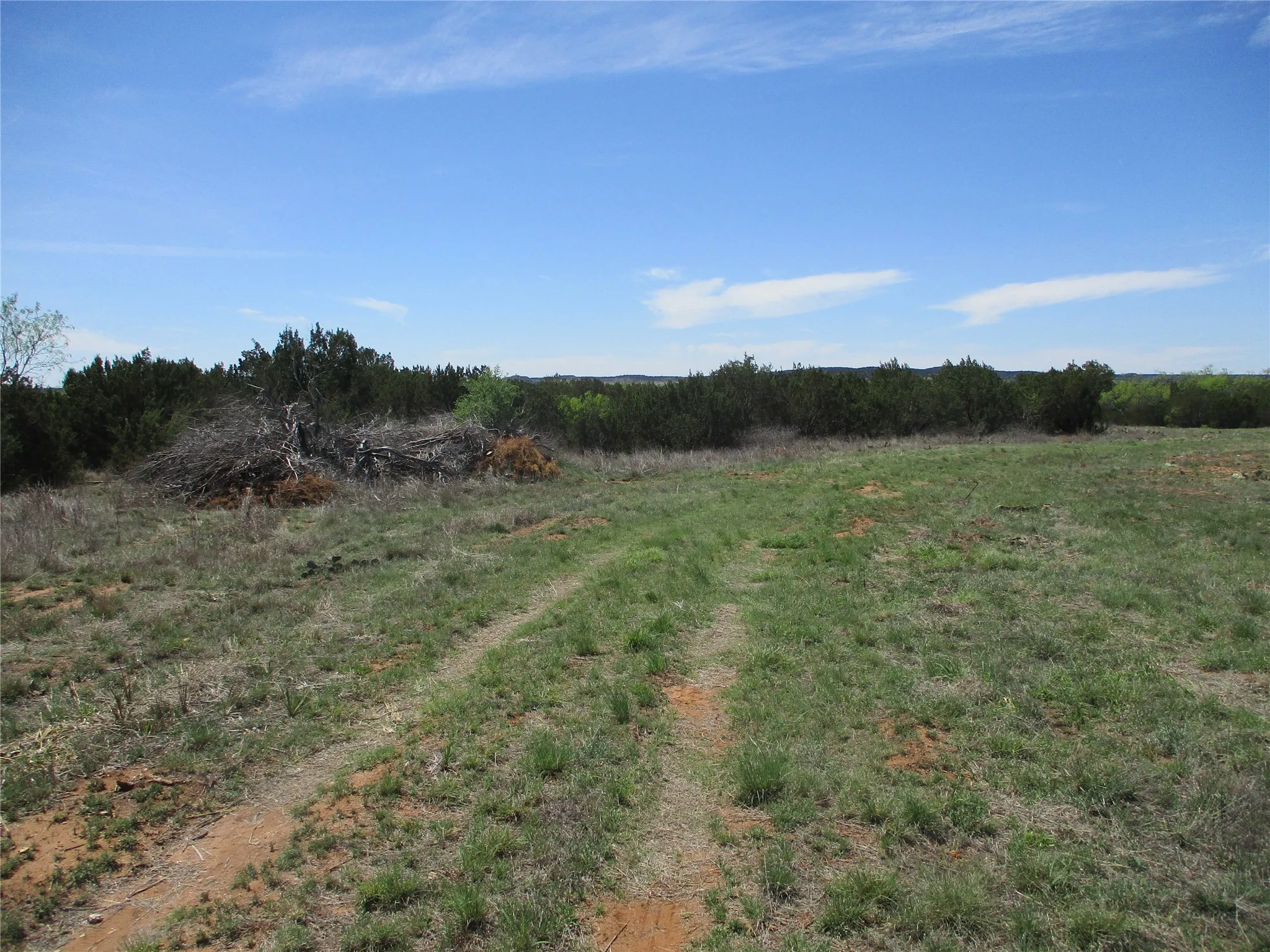 Ranch For Sale in Taylor County , TBD FM 1086 FM 1086, No City, Texas 75966, 0, 0, Garage spaces, 0 Sqft, built in 0, mls#21230148, Real Estate Agent in No City, Homes For Sale in Taylor county, Homes For Sale in No City, Realtor in No City Texas, Real Estate Brokerage Independent Realty Texas, Luminita Cordes Realtor