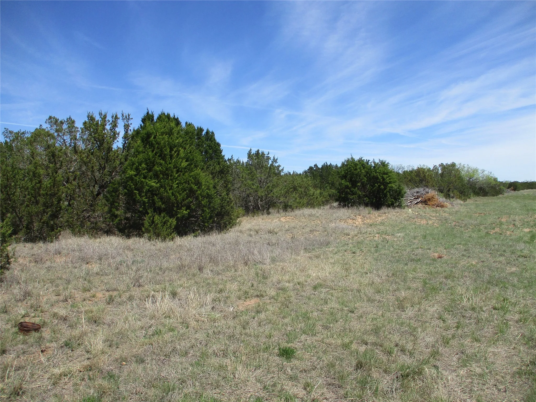 Ranch For Sale in Taylor County , TBD FM 1086 FM 1086, No City, Texas 75966, 0, 0, Garage spaces, 0 Sqft, built in 0, mls#21230148, Real Estate Agent in No City, Homes For Sale in Taylor county, Homes For Sale in No City, Realtor in No City Texas, Real Estate Brokerage Independent Realty Texas, Luminita Cordes Realtor