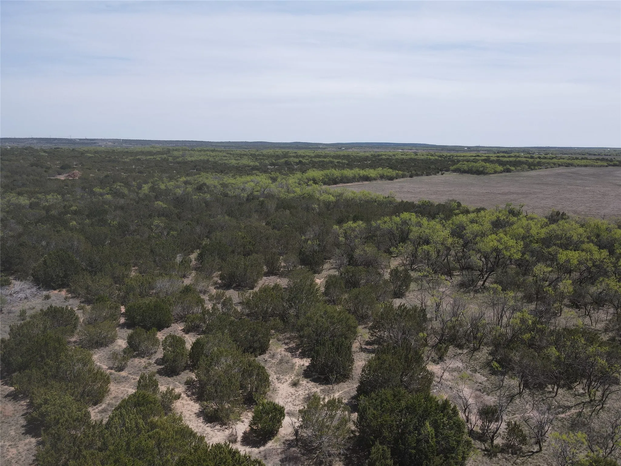 Ranch For Sale in Taylor County , TBD FM 1086 FM 1086, No City, Texas 75966, 0, 0, Garage spaces, 0 Sqft, built in 0, mls#21230148, Real Estate Agent in No City, Homes For Sale in Taylor county, Homes For Sale in No City, Realtor in No City Texas, Real Estate Brokerage Independent Realty Texas, Luminita Cordes Realtor