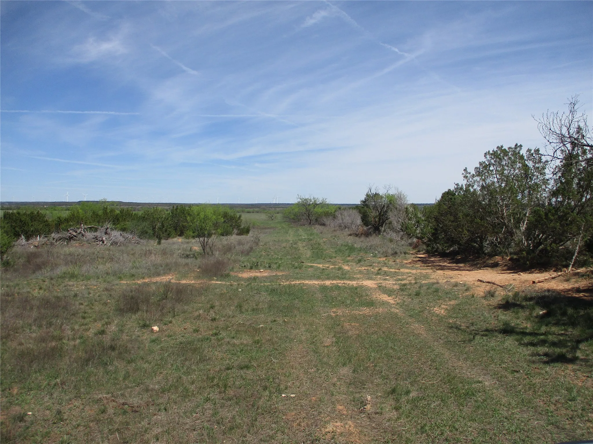 Ranch For Sale in Taylor County , TBD FM 1086 FM 1086, No City, Texas 75966, 0, 0, Garage spaces, 0 Sqft, built in 0, mls#21230148, Real Estate Agent in No City, Homes For Sale in Taylor county, Homes For Sale in No City, Realtor in No City Texas, Real Estate Brokerage Independent Realty Texas, Luminita Cordes Realtor