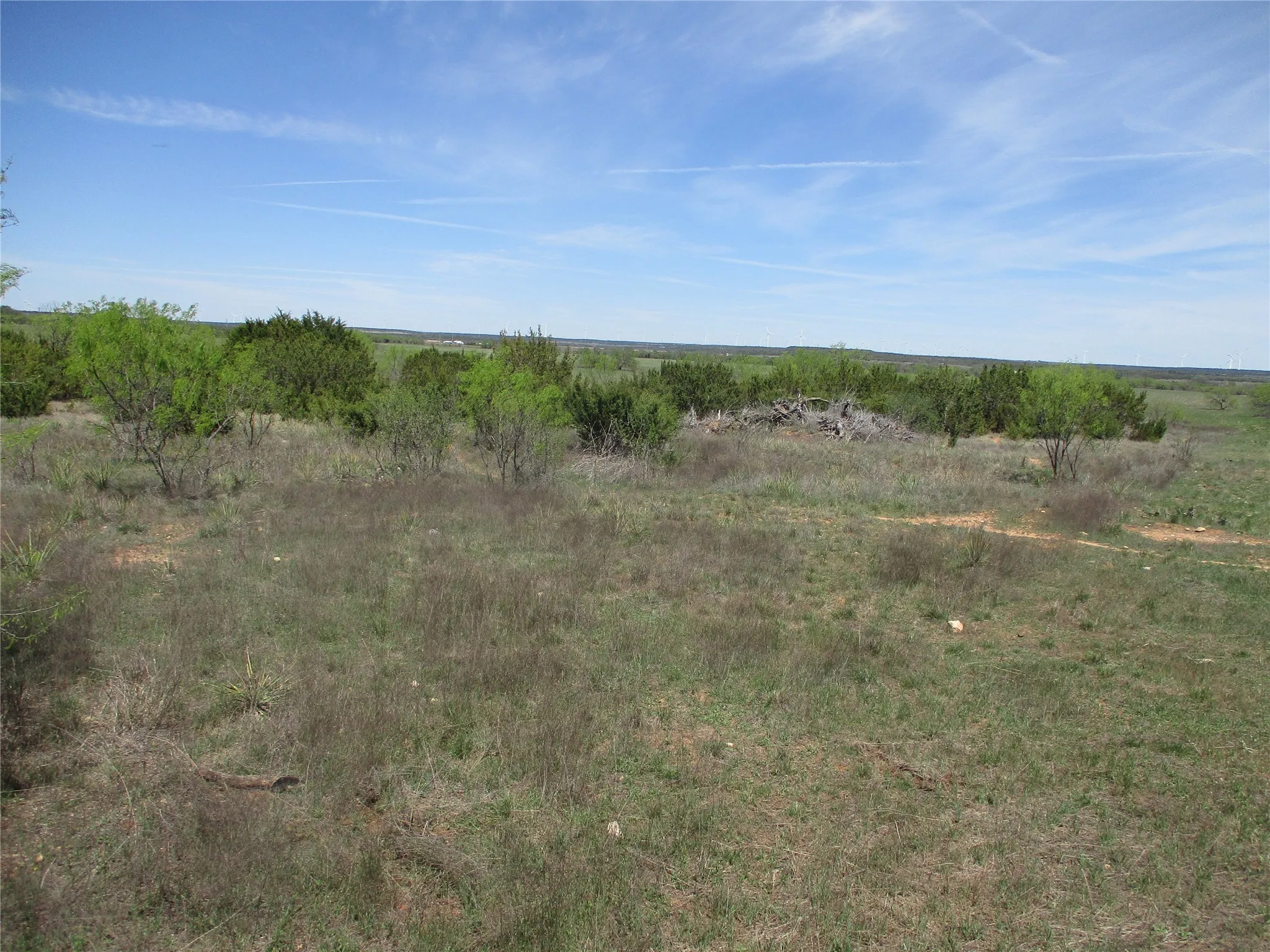 Ranch For Sale in Taylor County , TBD FM 1086 FM 1086, No City, Texas 75966, 0, 0, Garage spaces, 0 Sqft, built in 0, mls#21230148, Real Estate Agent in No City, Homes For Sale in Taylor county, Homes For Sale in No City, Realtor in No City Texas, Real Estate Brokerage Independent Realty Texas, Luminita Cordes Realtor