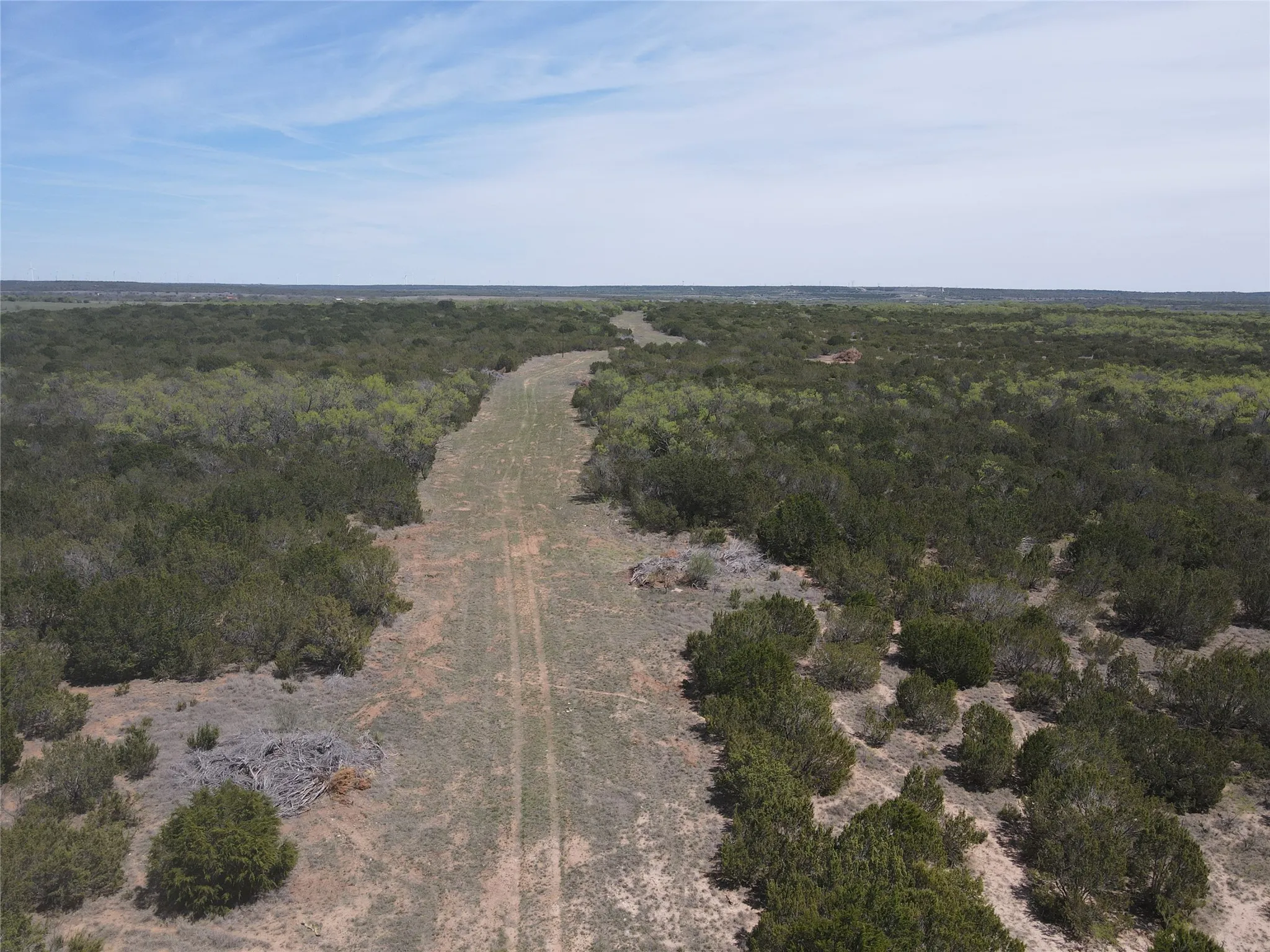 Ranch For Sale in Taylor County , TBD FM 1086 FM 1086, No City, Texas 75966, 0, 0, Garage spaces, 0 Sqft, built in 0, mls#21230148, Real Estate Agent in No City, Homes For Sale in Taylor county, Homes For Sale in No City, Realtor in No City Texas, Real Estate Brokerage Independent Realty Texas, Luminita Cordes Realtor