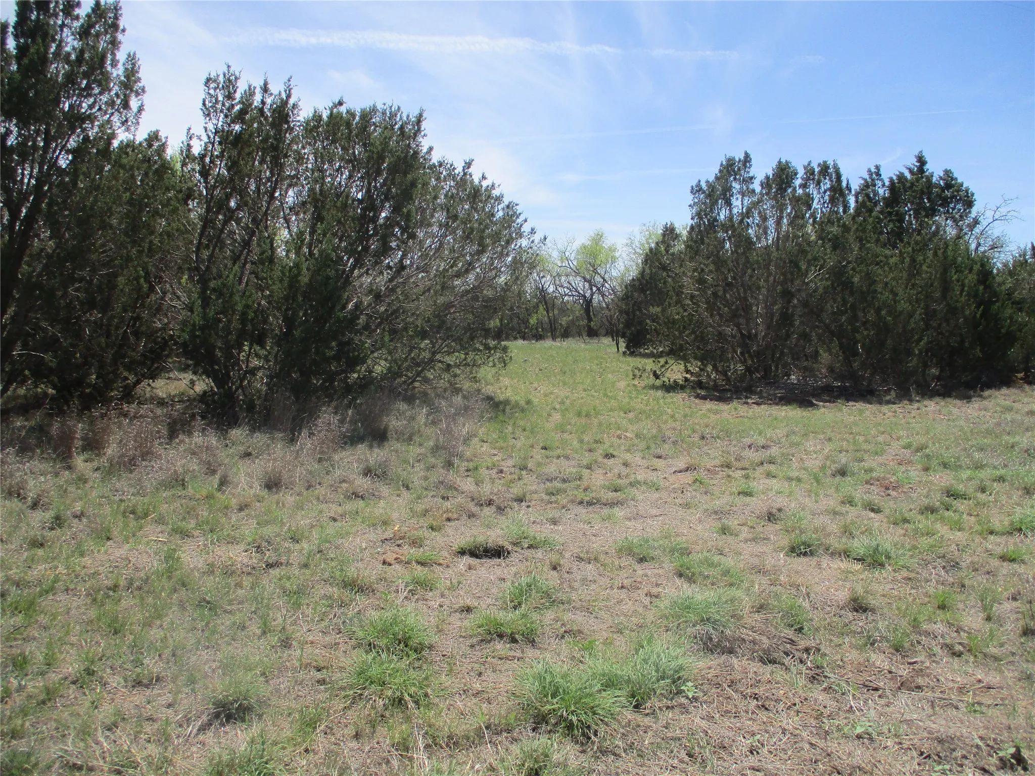 Ranch For Sale in Taylor County , TBD FM 1086 FM 1086, No City, Texas 75966, 0, 0, Garage spaces, 0 Sqft, built in 0, mls#21230148, Real Estate Agent in No City, Homes For Sale in Taylor county, Homes For Sale in No City, Realtor in No City Texas, Real Estate Brokerage Independent Realty Texas, Luminita Cordes Realtor