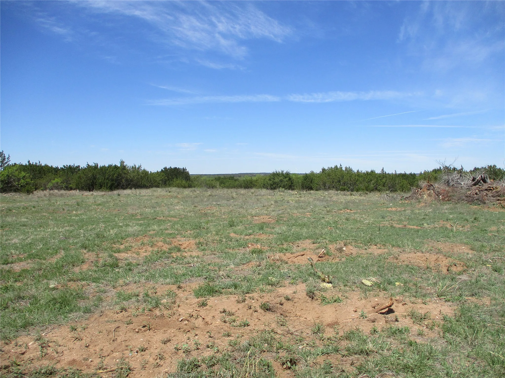 Ranch For Sale in Taylor County , TBD FM 1086 FM 1086, No City, Texas 75966, 0, 0, Garage spaces, 0 Sqft, built in 0, mls#21230148, Real Estate Agent in No City, Homes For Sale in Taylor county, Homes For Sale in No City, Realtor in No City Texas, Real Estate Brokerage Independent Realty Texas, Luminita Cordes Realtor