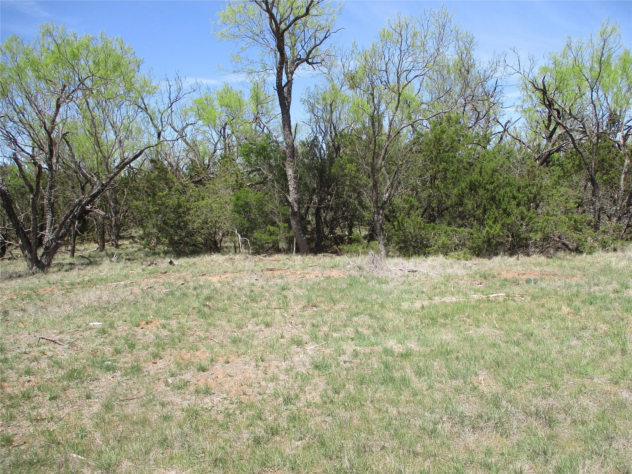 Ranch For Sale in Taylor County , TBD FM 1086 FM 1086, No City, Texas 75966, 0, 0, Garage spaces, 0 Sqft, built in 0, mls#21230148, Real Estate Agent in No City, Homes For Sale in Taylor county, Homes For Sale in No City, Realtor in No City Texas, Real Estate Brokerage Independent Realty Texas, Luminita Cordes Realtor