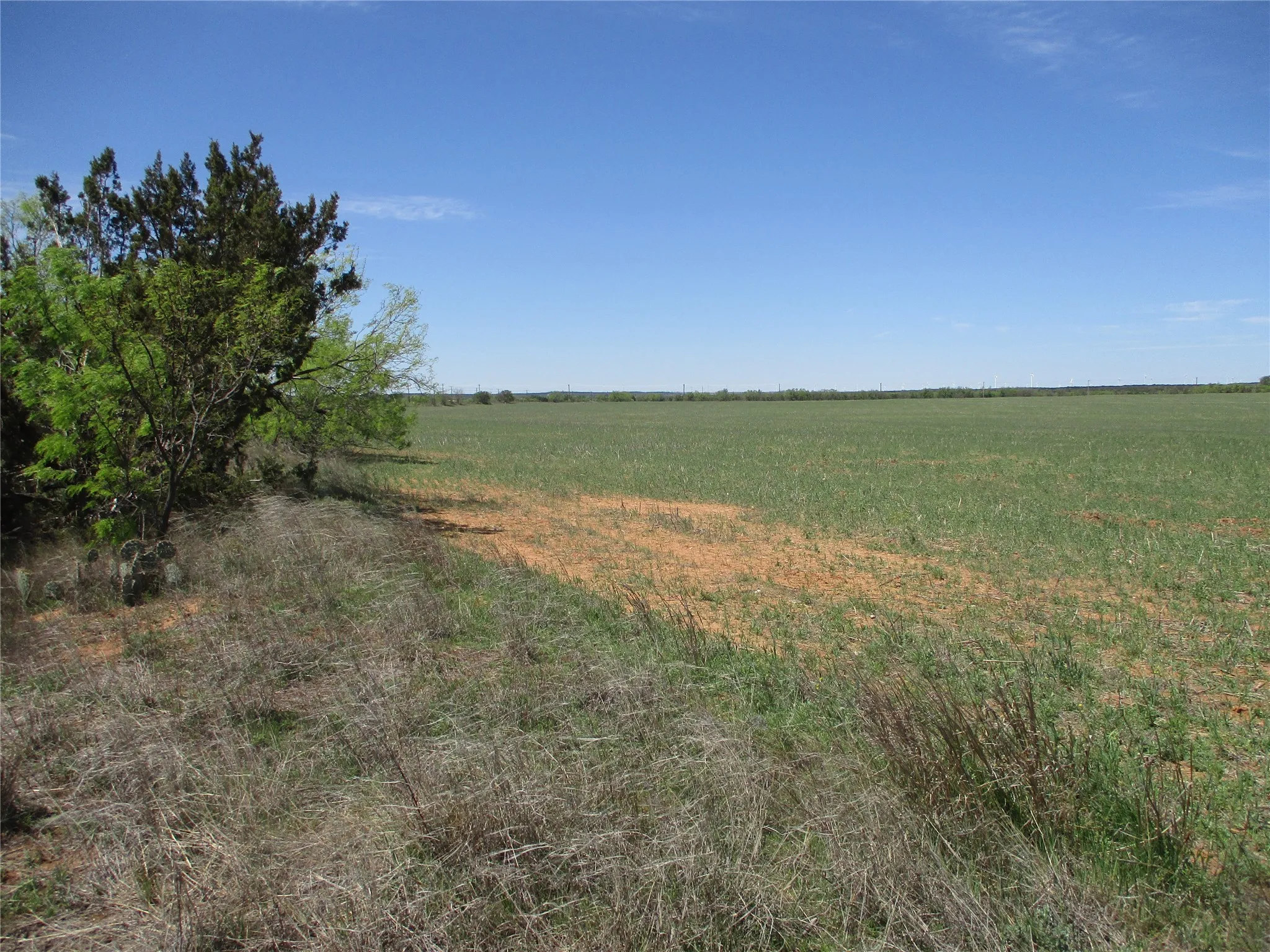 Ranch For Sale in Taylor County , TBD FM 1086 FM 1086, No City, Texas 75966, 0, 0, Garage spaces, 0 Sqft, built in 0, mls#21230148, Real Estate Agent in No City, Homes For Sale in Taylor county, Homes For Sale in No City, Realtor in No City Texas, Real Estate Brokerage Independent Realty Texas, Luminita Cordes Realtor