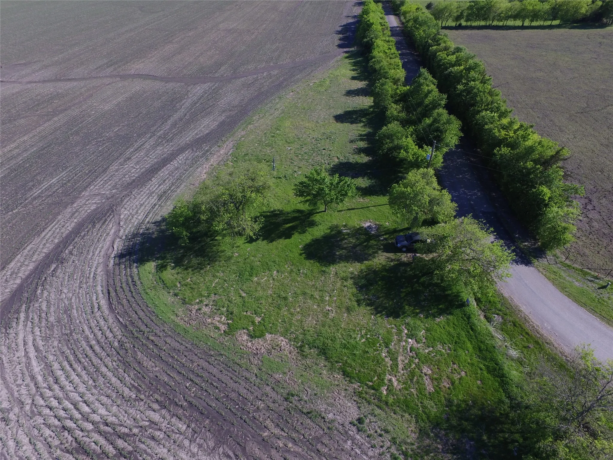 Unimproved Land For Sale in Collin County , 9547 County Road 501, Blue Ridge, Texas 75424, 0, 0, Garage spaces, 0 Sqft, built in 0, Price $199,000, mls#21230175, Real Estate Agent in Blue Ridge, Homes For Sale in Collin county, Homes For Sale in Blue Ridge, Realtor in Blue Ridge Texas, Real Estate Brokerage Independent Realty Texas, Luminita Cordes Realtor