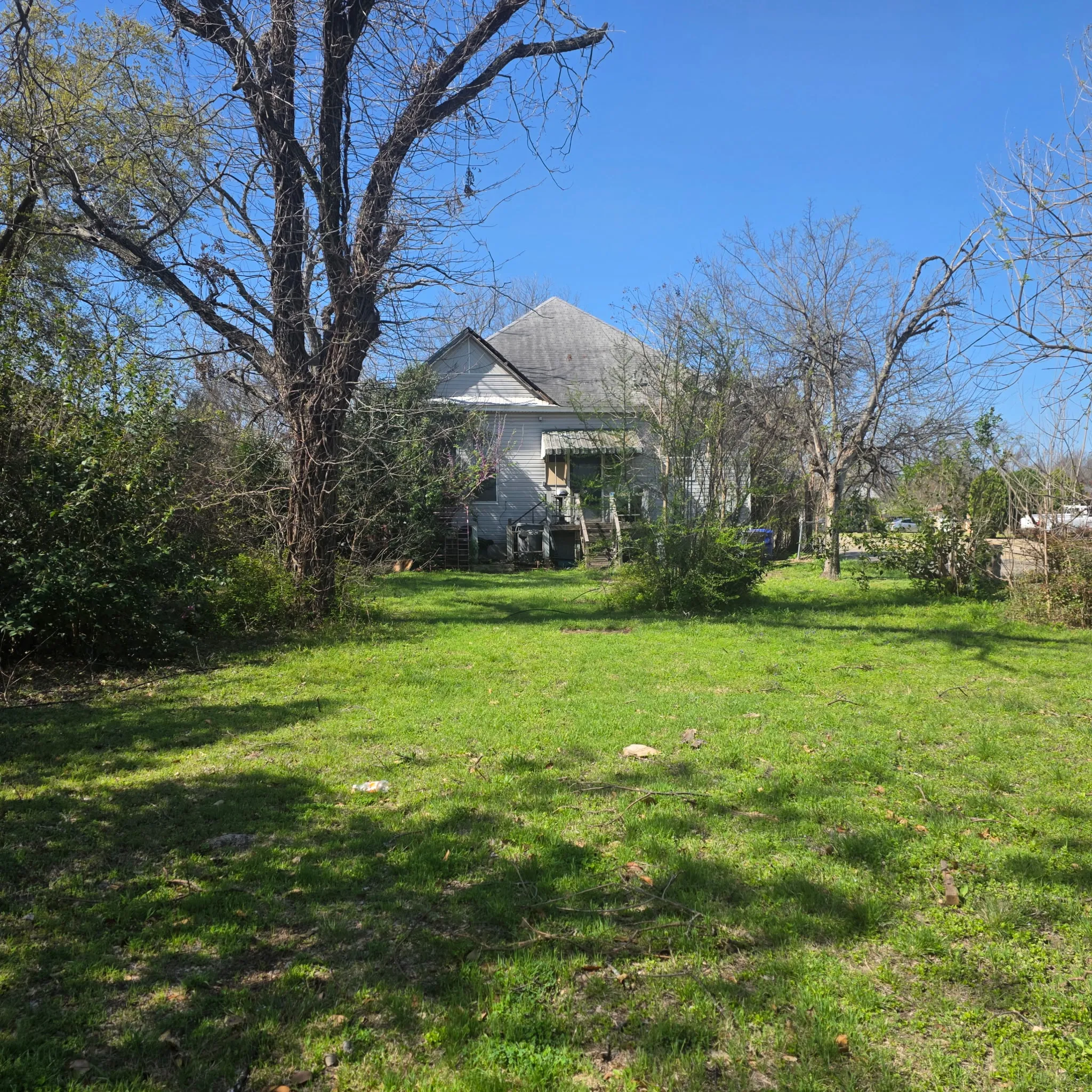 View of green lawn