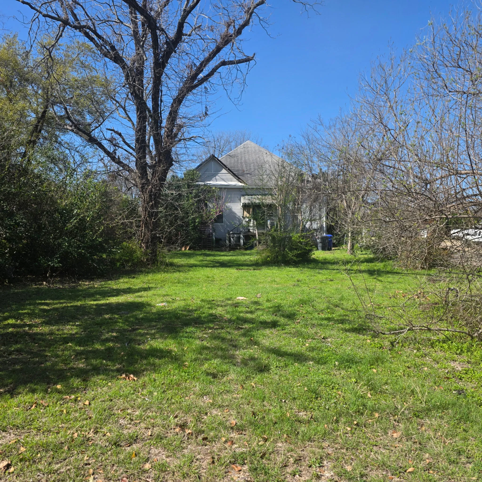 View of grassy yard