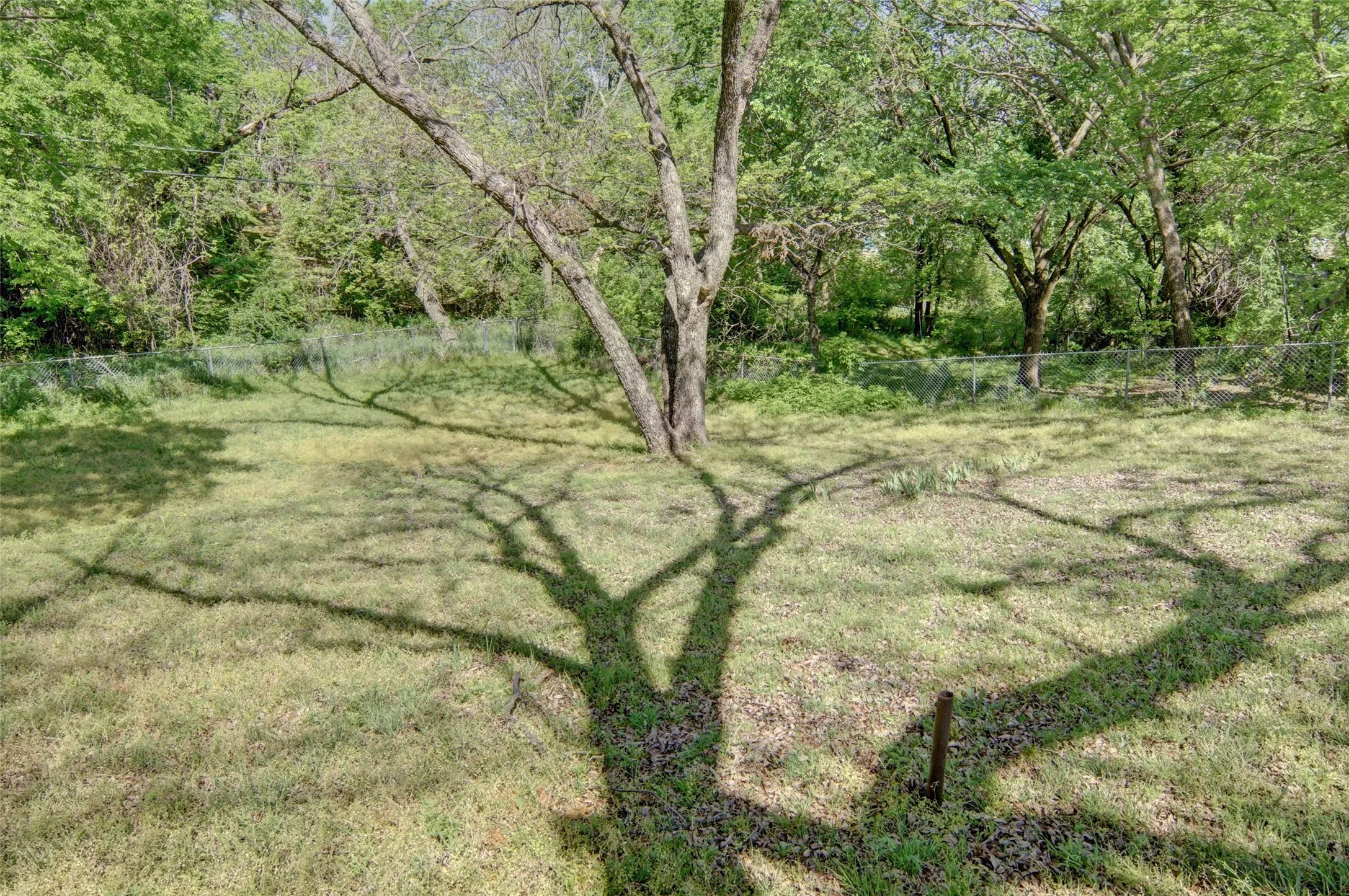 View of large backyard.