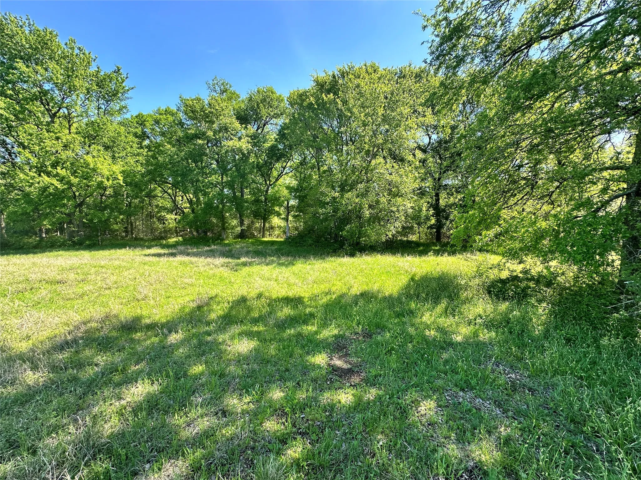 Unimproved Land For Sale in Navarro County , Lot 37 Sandy Cove Circle, Streetman, Texas 75859, 0, 0, Garage spaces, 0 Sqft, built in 0, Price $79,900, mls#21228591, Real Estate Agent in Streetman, Homes For Sale in Navarro county, Homes For Sale in Streetman, Realtor in Streetman Texas, Real Estate Brokerage Independent Realty Texas, Luminita Cordes Realtor