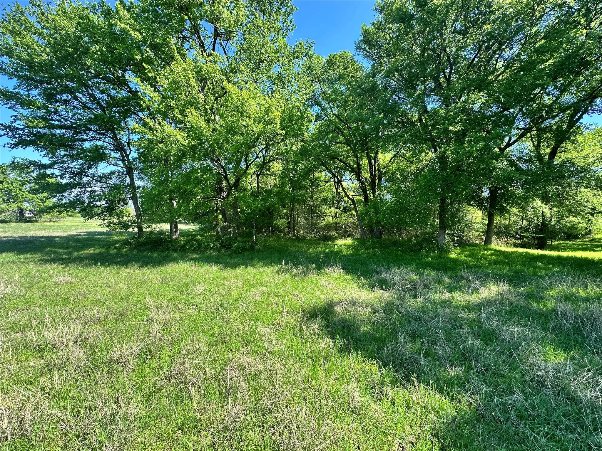Unimproved Land For Sale in Navarro County , Lot 37 Sandy Cove Circle, Streetman, Texas 75859, 0, 0, Garage spaces, 0 Sqft, built in 0, Price $79,900, mls#21228591, Real Estate Agent in Streetman, Homes For Sale in Navarro county, Homes For Sale in Streetman, Realtor in Streetman Texas, Real Estate Brokerage Independent Realty Texas, Luminita Cordes Realtor
