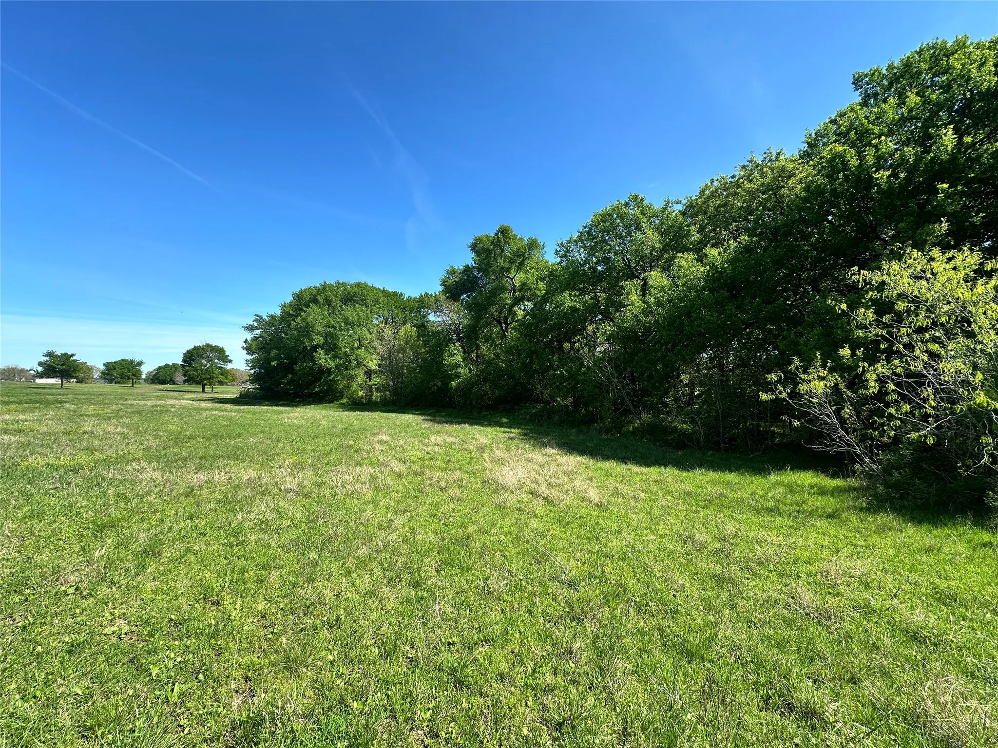 Unimproved Land For Sale in Navarro County , Lot 37 Sandy Cove Circle, Streetman, Texas 75859, 0, 0, Garage spaces, 0 Sqft, built in 0, Price $79,900, mls#21228591, Real Estate Agent in Streetman, Homes For Sale in Navarro county, Homes For Sale in Streetman, Realtor in Streetman Texas, Real Estate Brokerage Independent Realty Texas, Luminita Cordes Realtor