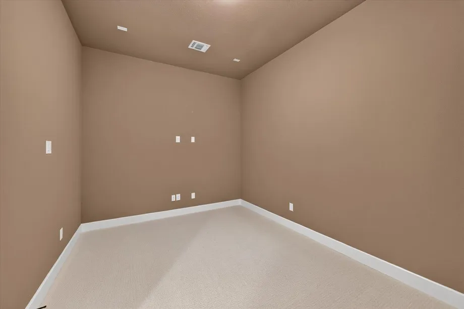 Entertainment Room