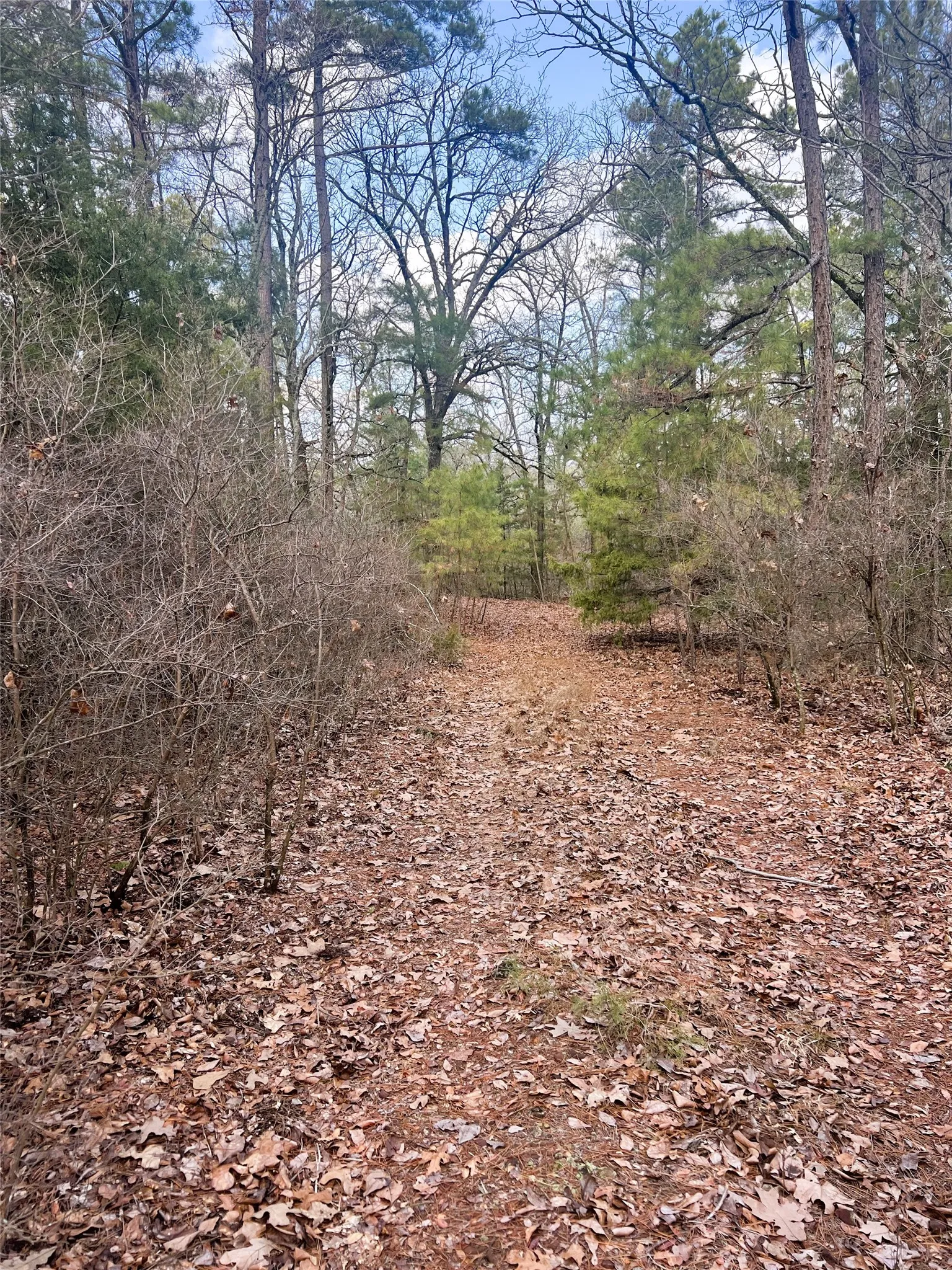 Unimproved Land For Sale in Wood County , 000 Private Road 8000, Winnsboro, Texas 75494, 0, 0, Garage spaces, 0 Sqft, built in 0, mls#21230407, Real Estate Agent in Winnsboro, Homes For Sale in Wood county, Homes For Sale in Winnsboro, Realtor in Winnsboro Texas, Real Estate Brokerage Independent Realty Texas, Luminita Cordes Realtor