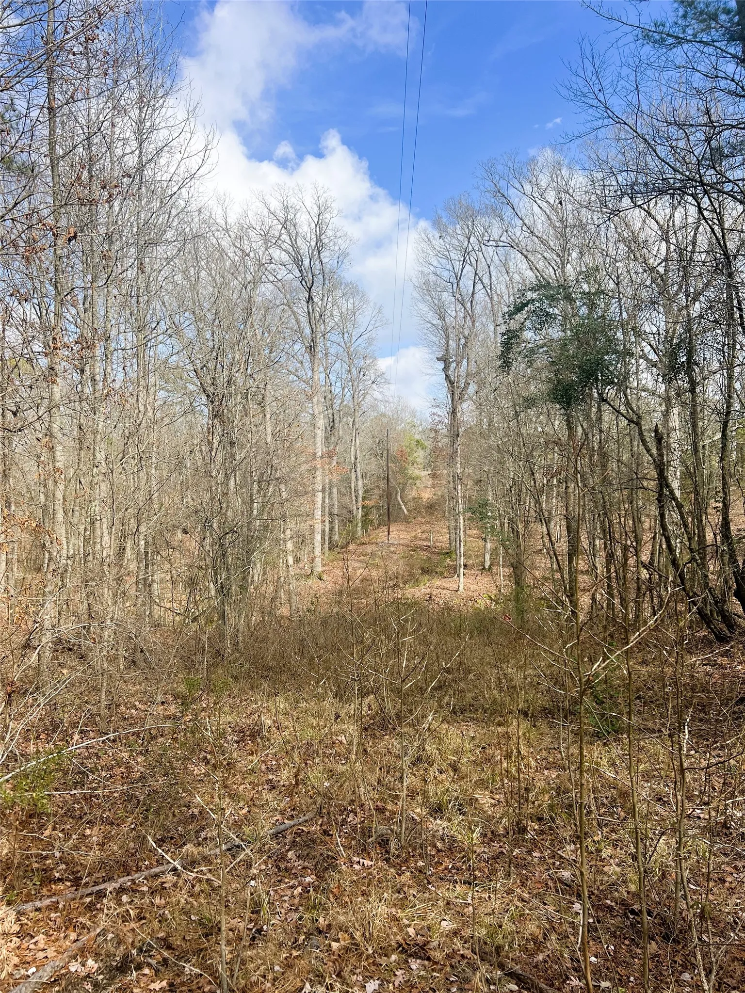 Unimproved Land For Sale in Wood County , 000 Private Road 8000, Winnsboro, Texas 75494, 0, 0, Garage spaces, 0 Sqft, built in 0, mls#21230407, Real Estate Agent in Winnsboro, Homes For Sale in Wood county, Homes For Sale in Winnsboro, Realtor in Winnsboro Texas, Real Estate Brokerage Independent Realty Texas, Luminita Cordes Realtor