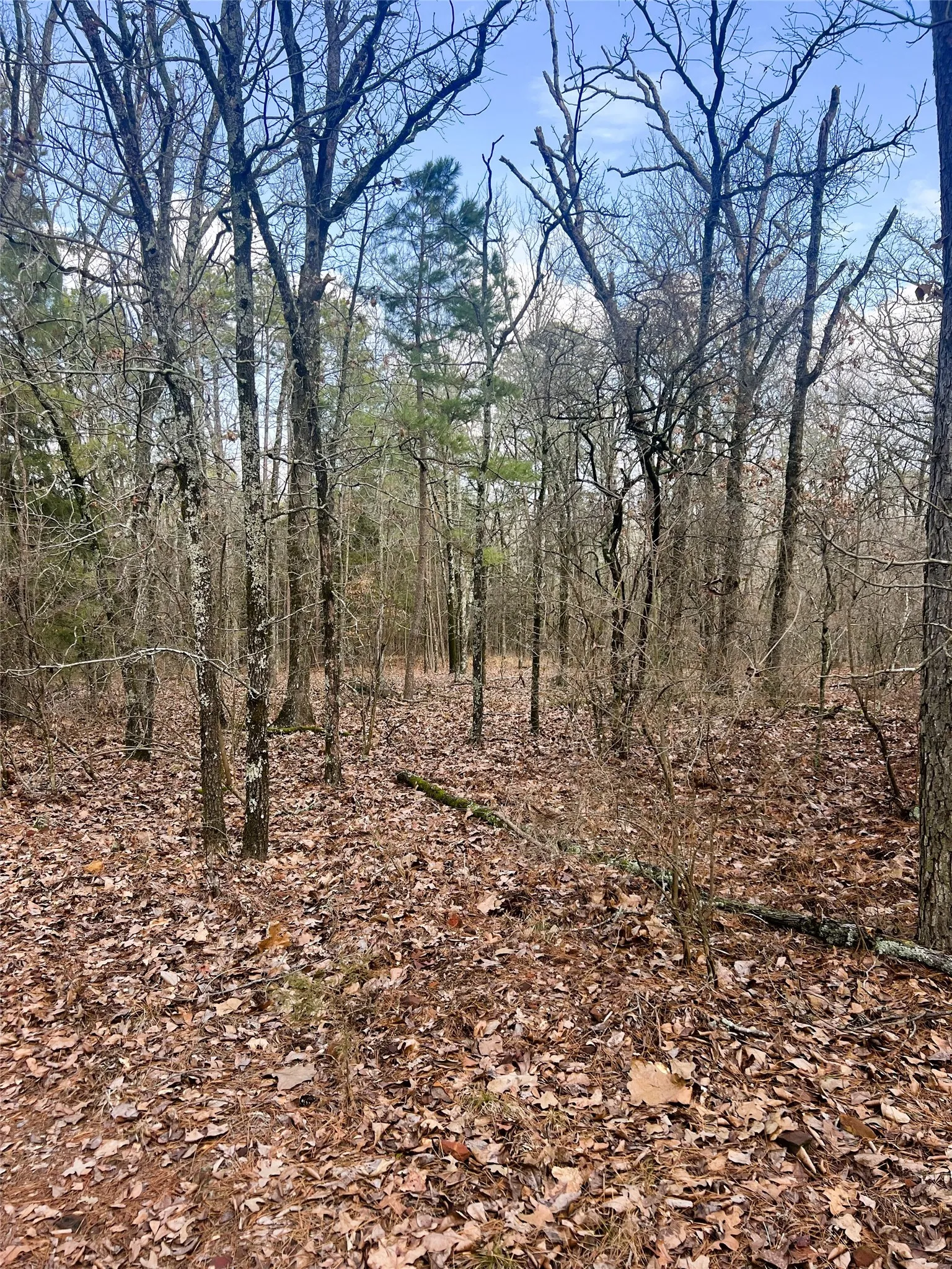 Unimproved Land For Sale in Wood County , 000 Private Road 8000, Winnsboro, Texas 75494, 0, 0, Garage spaces, 0 Sqft, built in 0, mls#21230407, Real Estate Agent in Winnsboro, Homes For Sale in Wood county, Homes For Sale in Winnsboro, Realtor in Winnsboro Texas, Real Estate Brokerage Independent Realty Texas, Luminita Cordes Realtor