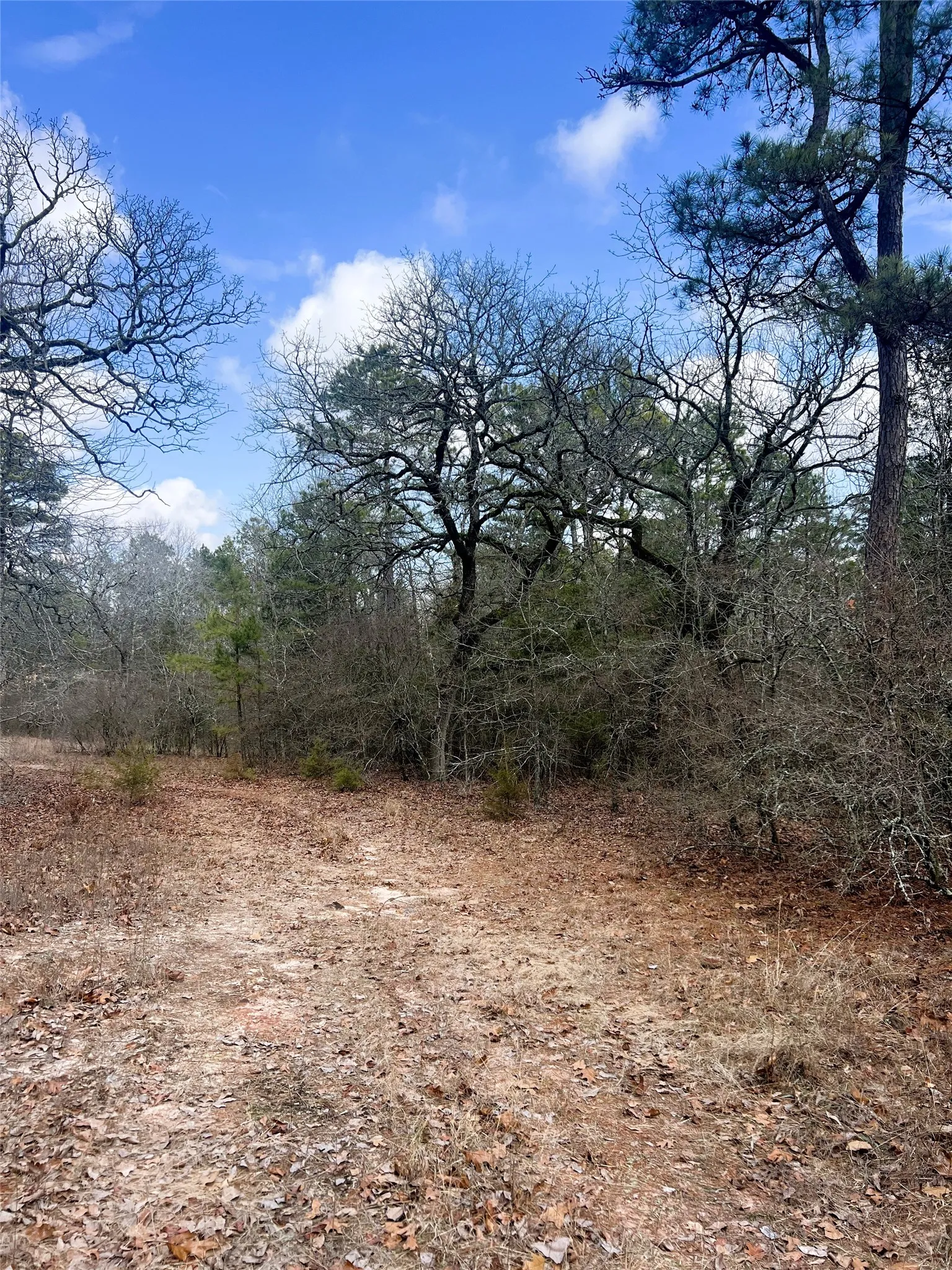 Unimproved Land For Sale in Wood County , 000 Private Road 8000, Winnsboro, Texas 75494, 0, 0, Garage spaces, 0 Sqft, built in 0, mls#21230407, Real Estate Agent in Winnsboro, Homes For Sale in Wood county, Homes For Sale in Winnsboro, Realtor in Winnsboro Texas, Real Estate Brokerage Independent Realty Texas, Luminita Cordes Realtor