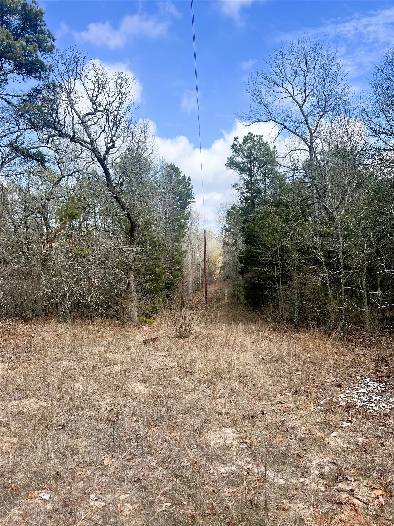 Unimproved Land For Sale in Wood County , 000 Private Road 8000, Winnsboro, Texas 75494, 0, 0, Garage spaces, 0 Sqft, built in 0, mls#21230407, Real Estate Agent in Winnsboro, Homes For Sale in Wood county, Homes For Sale in Winnsboro, Realtor in Winnsboro Texas, Real Estate Brokerage Independent Realty Texas, Luminita Cordes Realtor