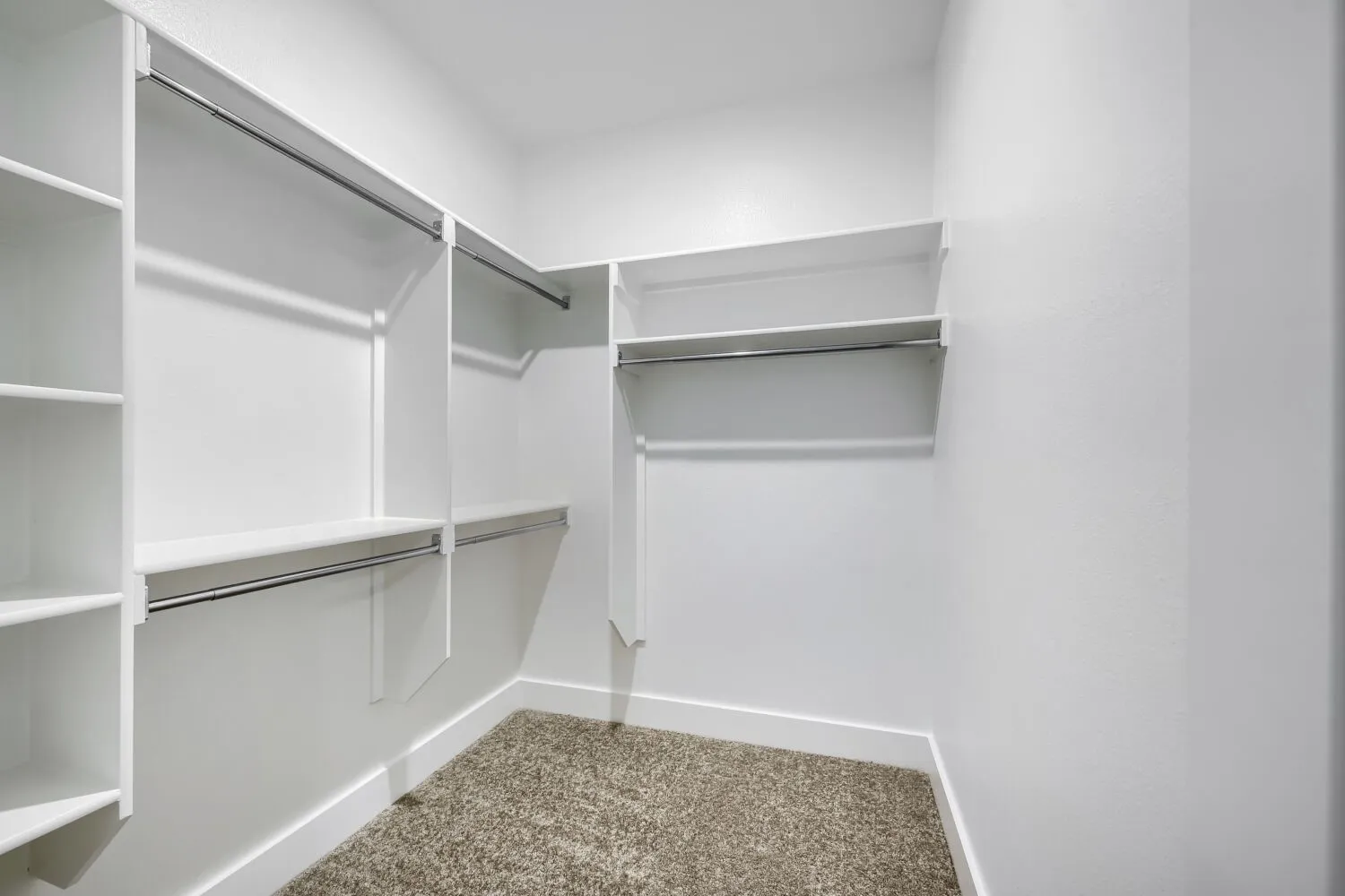 Walk-in closet featuring white built-in shelving, multiple hanging rods, and carpet flooring