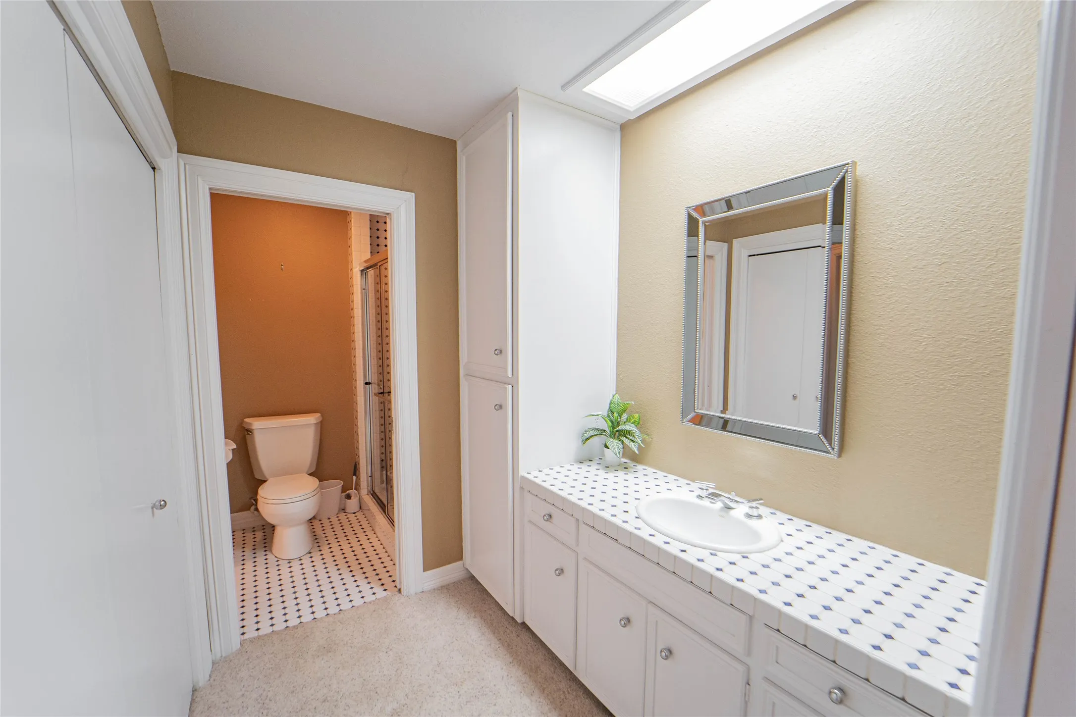 Bathroom with vanity, a stall shower, and light colored carpet