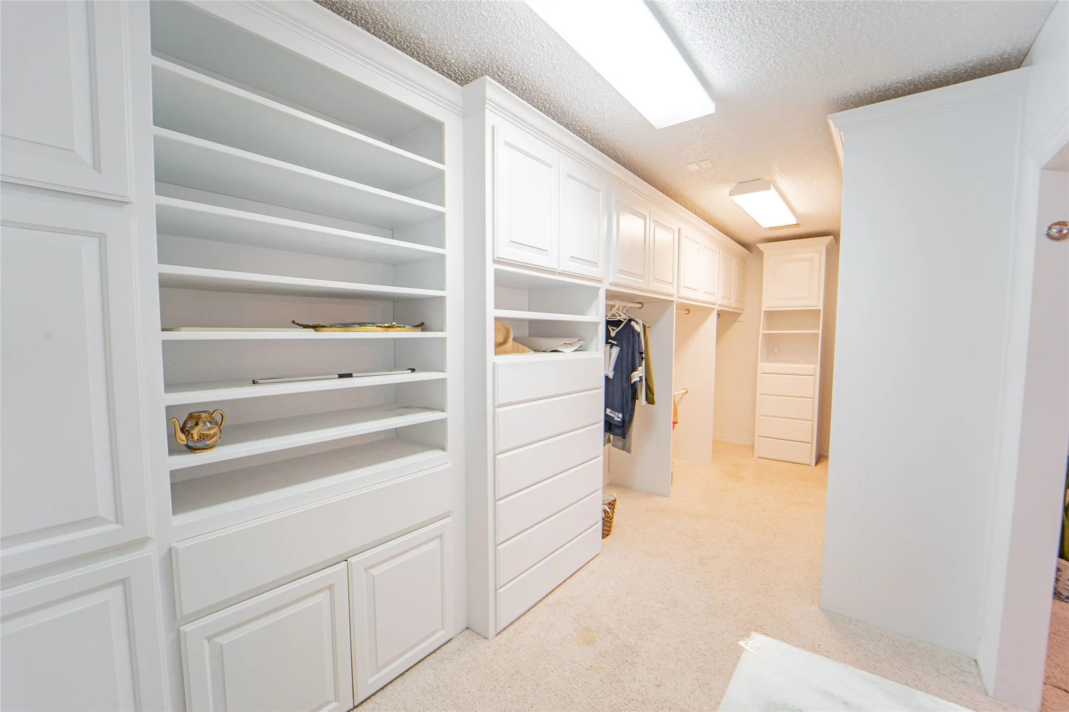 Walk in closet featuring light carpet