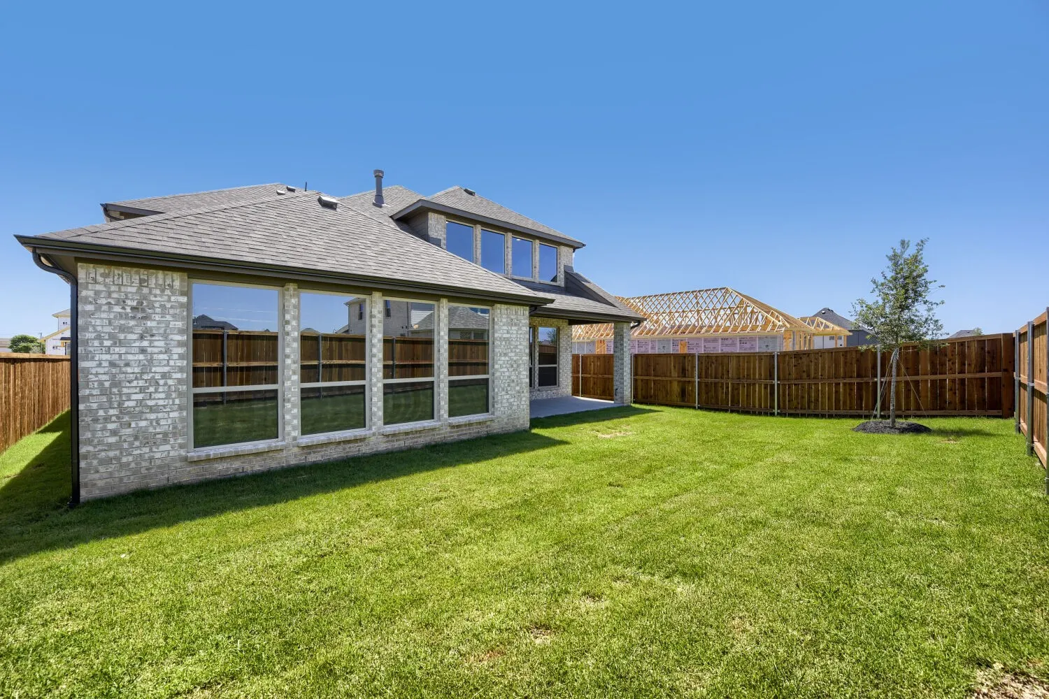 Expansive backyard featuring a manicured lawn, full privacy fencing, and a young tree