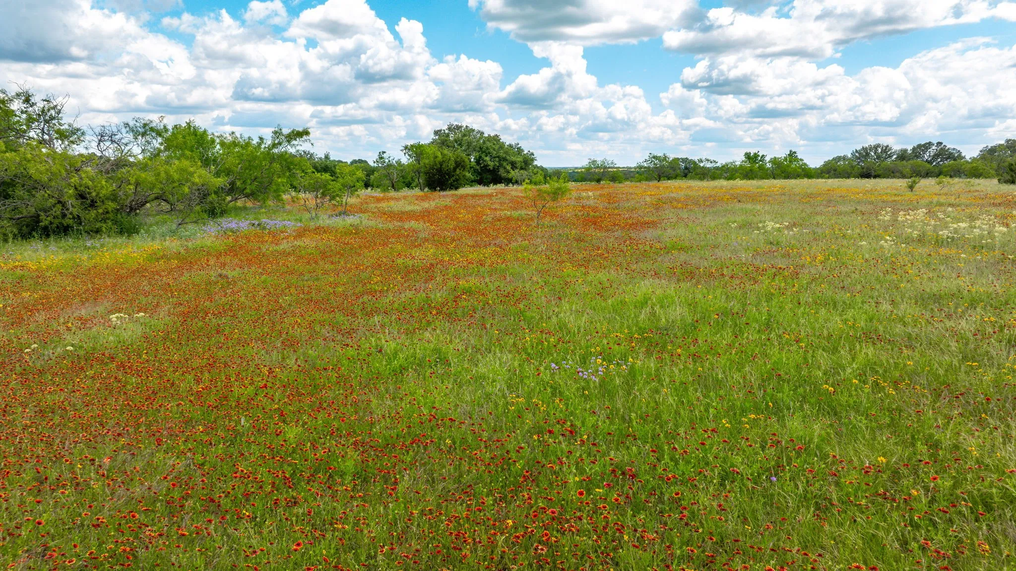 Unimproved Land For Sale in Erath County , Lot 2 County Road 277, Dublin, Texas 76446, 0, 0, Garage spaces, 0 Sqft, built in 0, mls#21225310, Real Estate Agent in Dublin, Homes For Sale in Erath county, Homes For Sale in Dublin, Realtor in Dublin Texas, Real Estate Brokerage Independent Realty Texas, Luminita Cordes Realtor