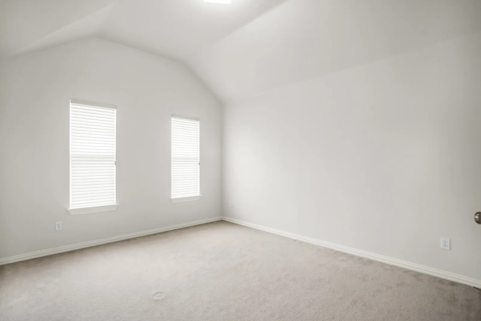 Bonus room with carpet floors and baseboards