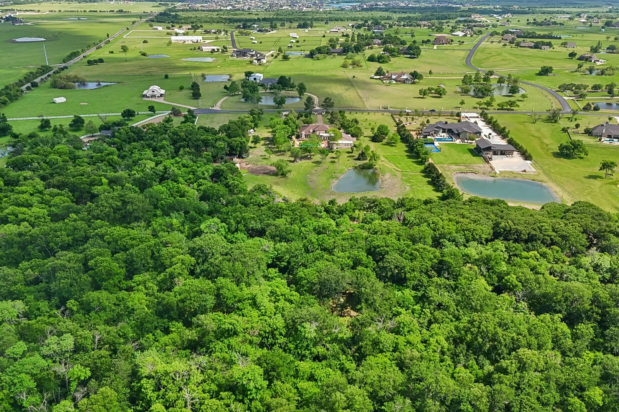 Expansive wooded acreage featuring dense tree cover, private pond, and surrounding green fields