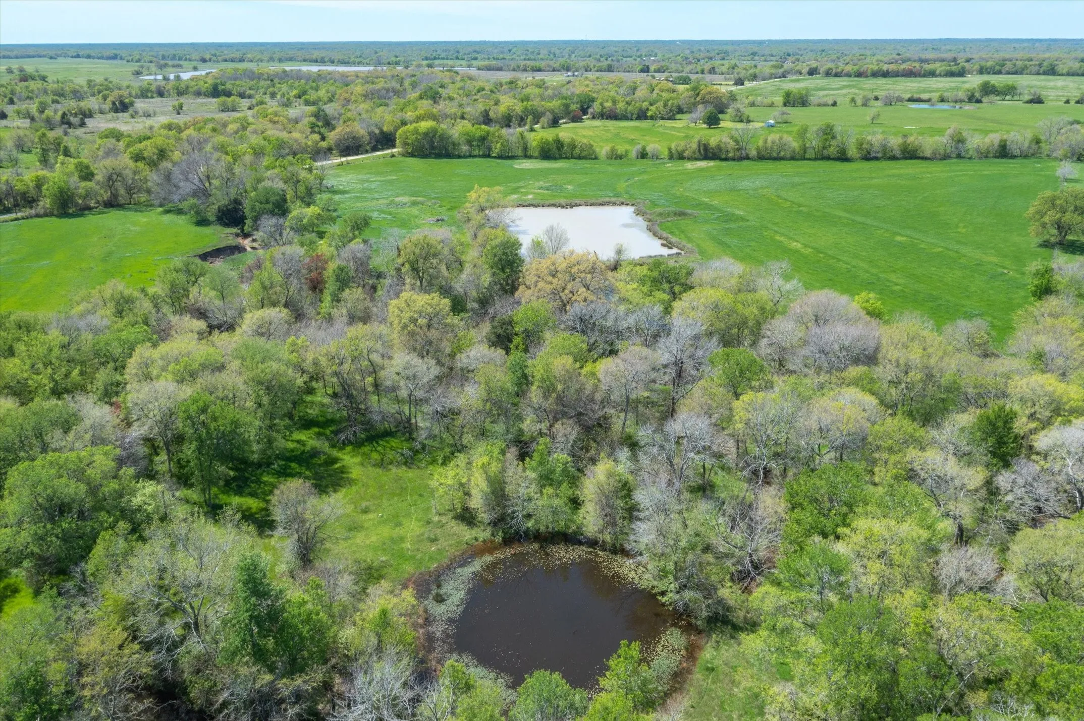 Unimproved Land For Sale in Van Zandt County , 1478 Vz County Road 2621, Wills Point, Texas 75169, 0, 0, Garage spaces, 0 Sqft, built in 2004, mls#21230469, Real Estate Agent in Wills Point, Homes For Sale in Van Zandt county, Homes For Sale in Wills Point, Realtor in Wills Point Texas, Real Estate Brokerage Independent Realty Texas, Luminita Cordes Realtor