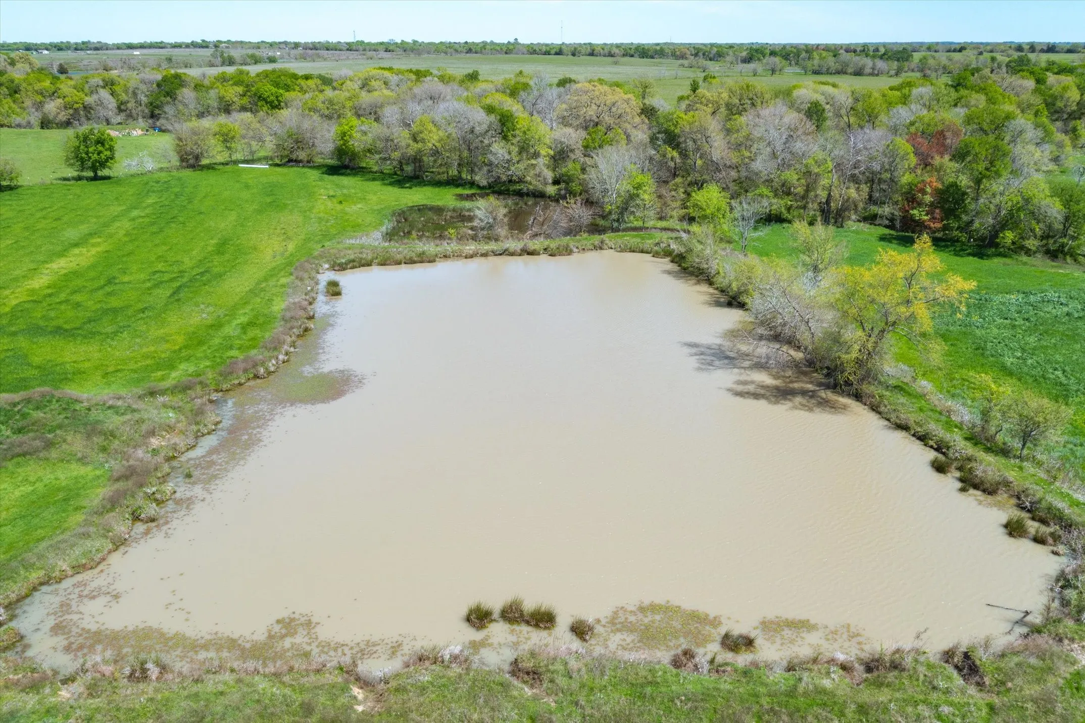 Unimproved Land For Sale in Van Zandt County , 1478 Vz County Road 2621, Wills Point, Texas 75169, 0, 0, Garage spaces, 0 Sqft, built in 2004, mls#21230469, Real Estate Agent in Wills Point, Homes For Sale in Van Zandt county, Homes For Sale in Wills Point, Realtor in Wills Point Texas, Real Estate Brokerage Independent Realty Texas, Luminita Cordes Realtor
