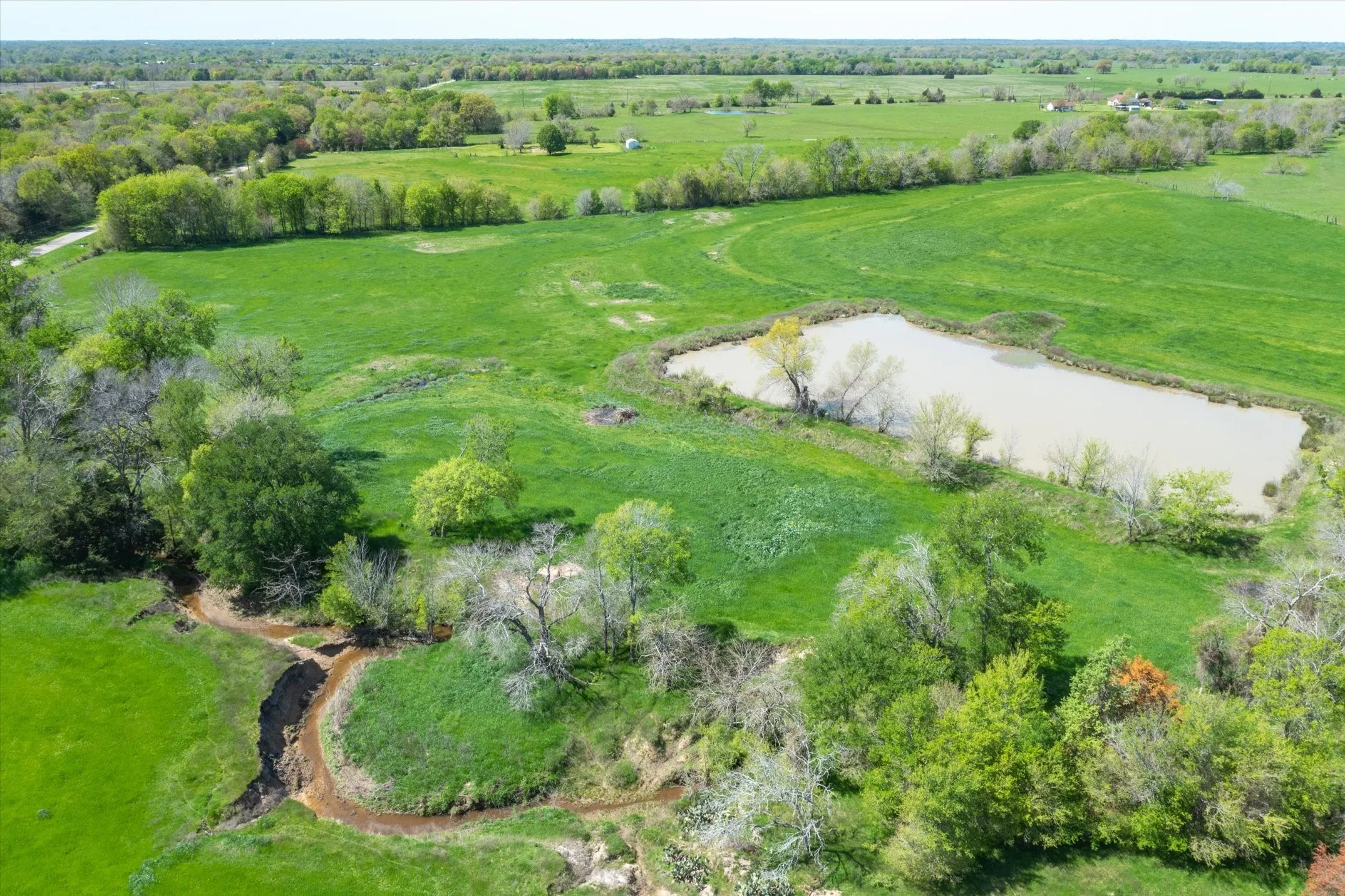 Unimproved Land For Sale in Van Zandt County , 1478 Vz County Road 2621, Wills Point, Texas 75169, 0, 0, Garage spaces, 0 Sqft, built in 2004, mls#21230469, Real Estate Agent in Wills Point, Homes For Sale in Van Zandt county, Homes For Sale in Wills Point, Realtor in Wills Point Texas, Real Estate Brokerage Independent Realty Texas, Luminita Cordes Realtor