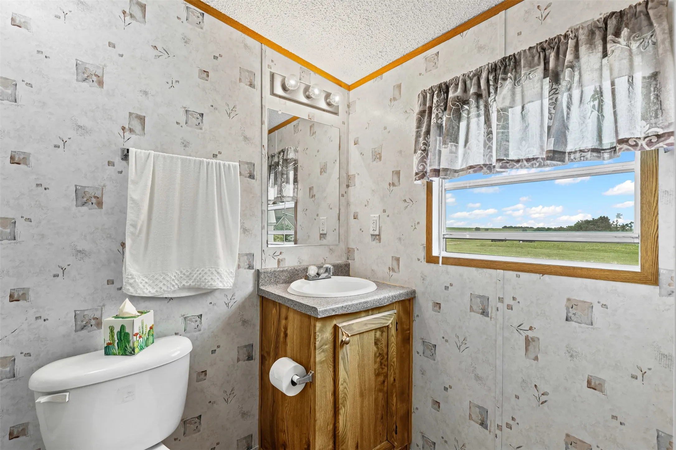 Bathroom featuring a textured ceiling, vanity, and ornamental molding