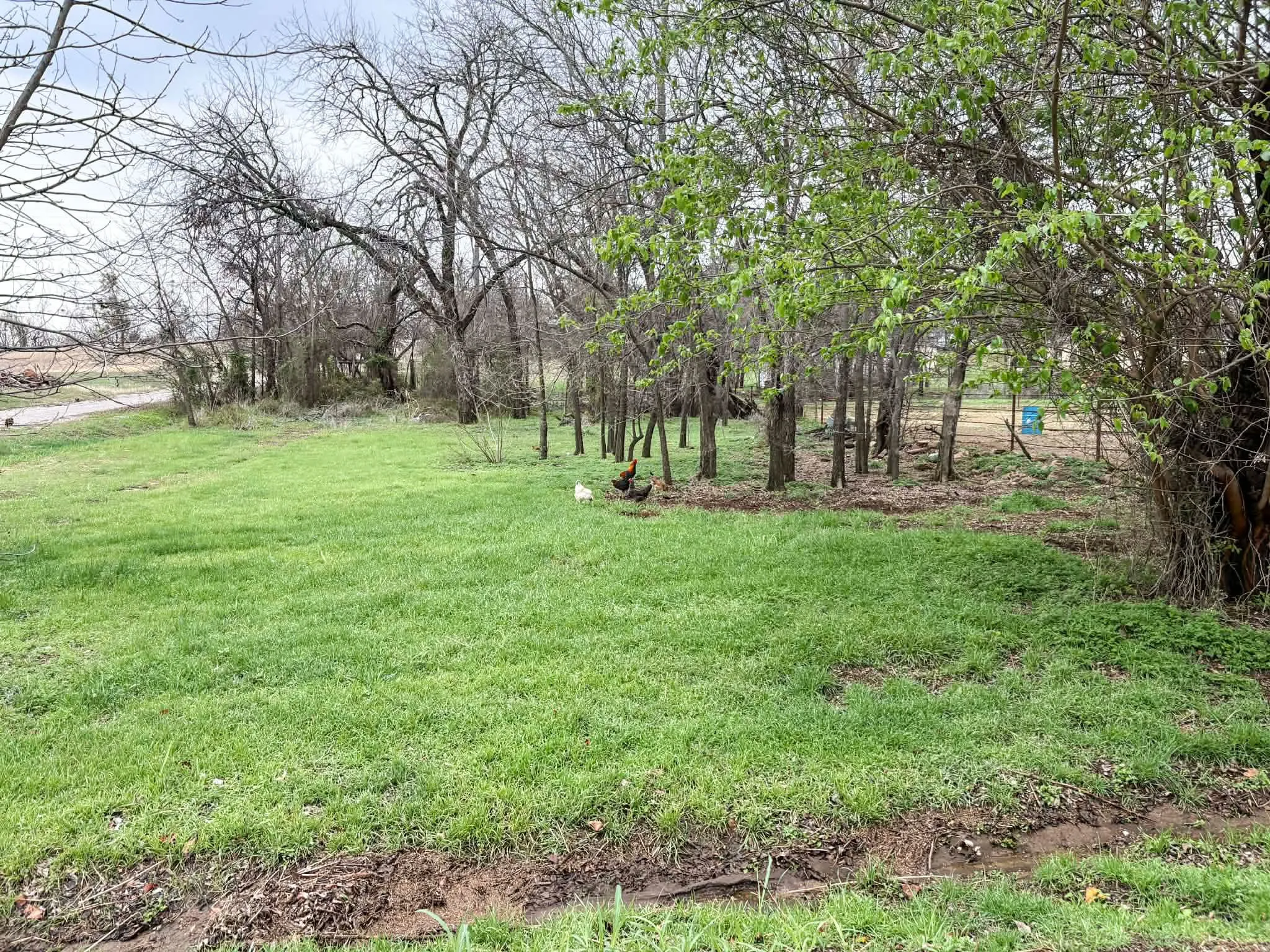 Unimproved Land For Sale in Eastland County , 301 W 2nd Street, Cisco, Texas 76437, 0, 0, Garage spaces, 0 Sqft, built in 0, mls#21230784, Real Estate Agent in Cisco, Homes For Sale in Eastland county, Homes For Sale in Cisco, Realtor in Cisco Texas, Real Estate Brokerage Independent Realty Texas, Luminita Cordes Realtor