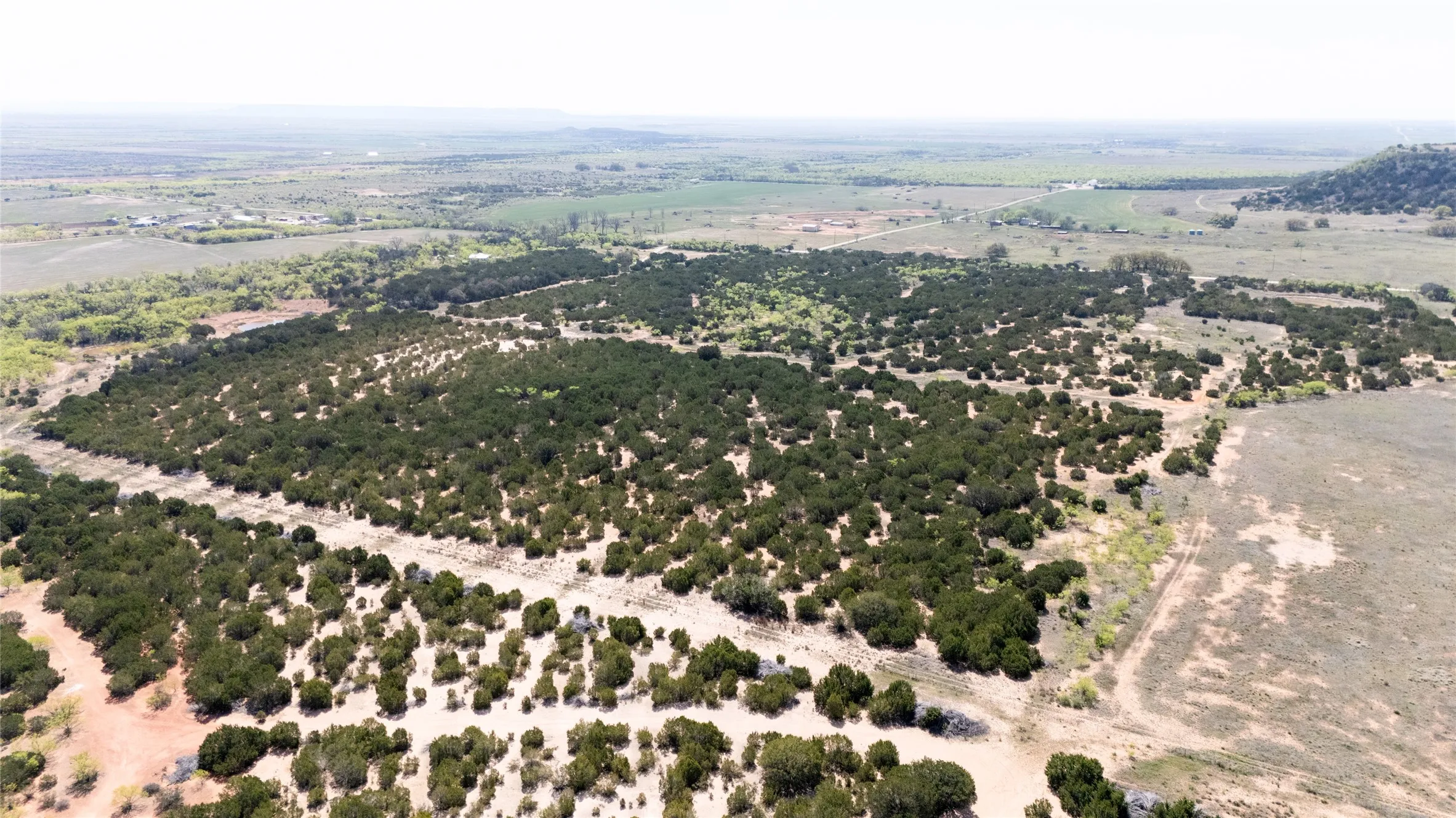 Unimproved Land For Sale in Taylor County , TBD County RD 184, Ovalo, Texas 79541, 0, 0, Garage spaces, 0 Sqft, built in 0, mls#21222544, Real Estate Agent in Ovalo, Homes For Sale in Taylor county, Homes For Sale in Ovalo, Realtor in Ovalo Texas, Real Estate Brokerage Independent Realty Texas, Luminita Cordes Realtor