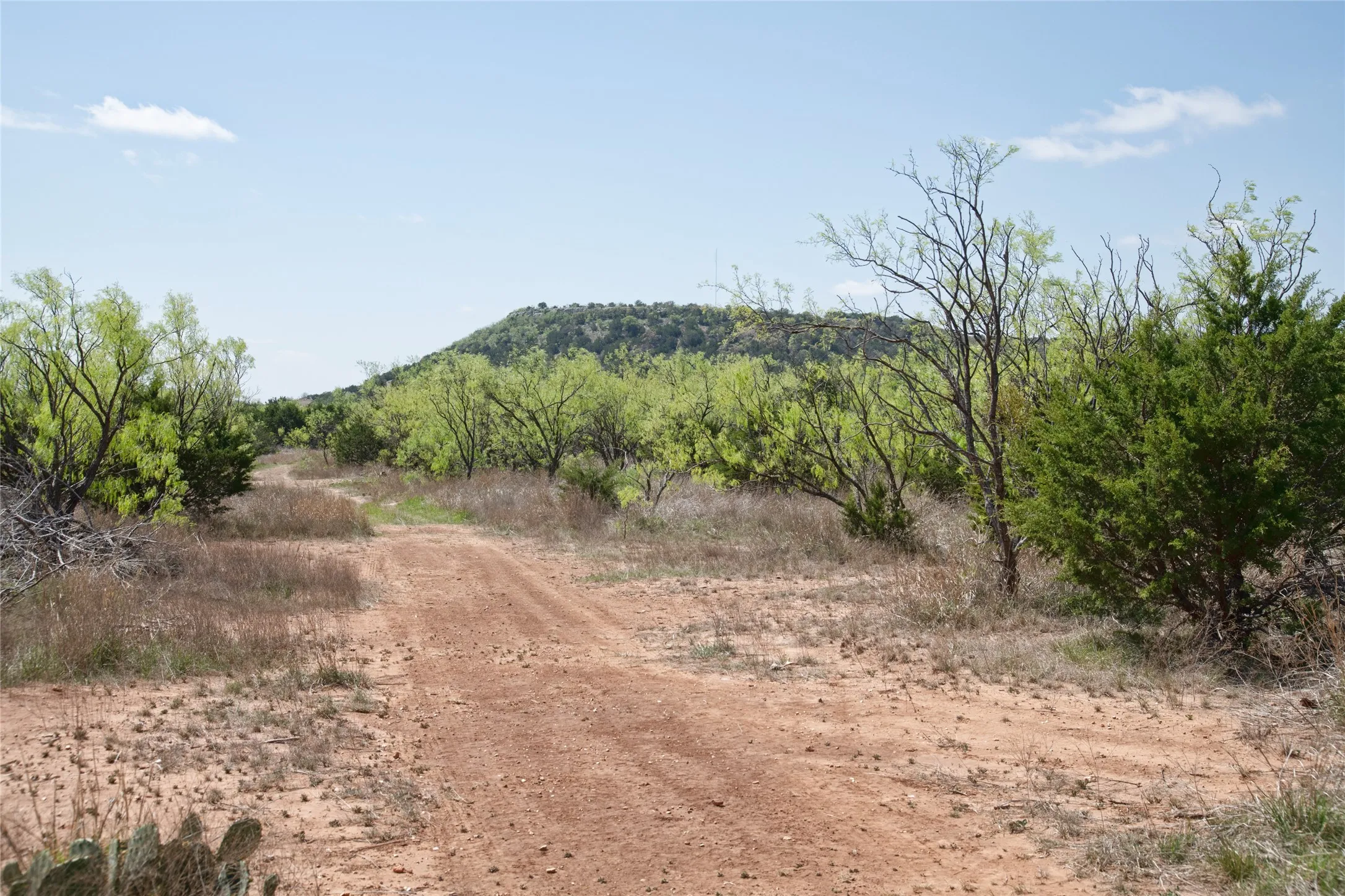 Unimproved Land For Sale in Taylor County , TBD County RD 184, Ovalo, Texas 79541, 0, 0, Garage spaces, 0 Sqft, built in 0, mls#21222544, Real Estate Agent in Ovalo, Homes For Sale in Taylor county, Homes For Sale in Ovalo, Realtor in Ovalo Texas, Real Estate Brokerage Independent Realty Texas, Luminita Cordes Realtor