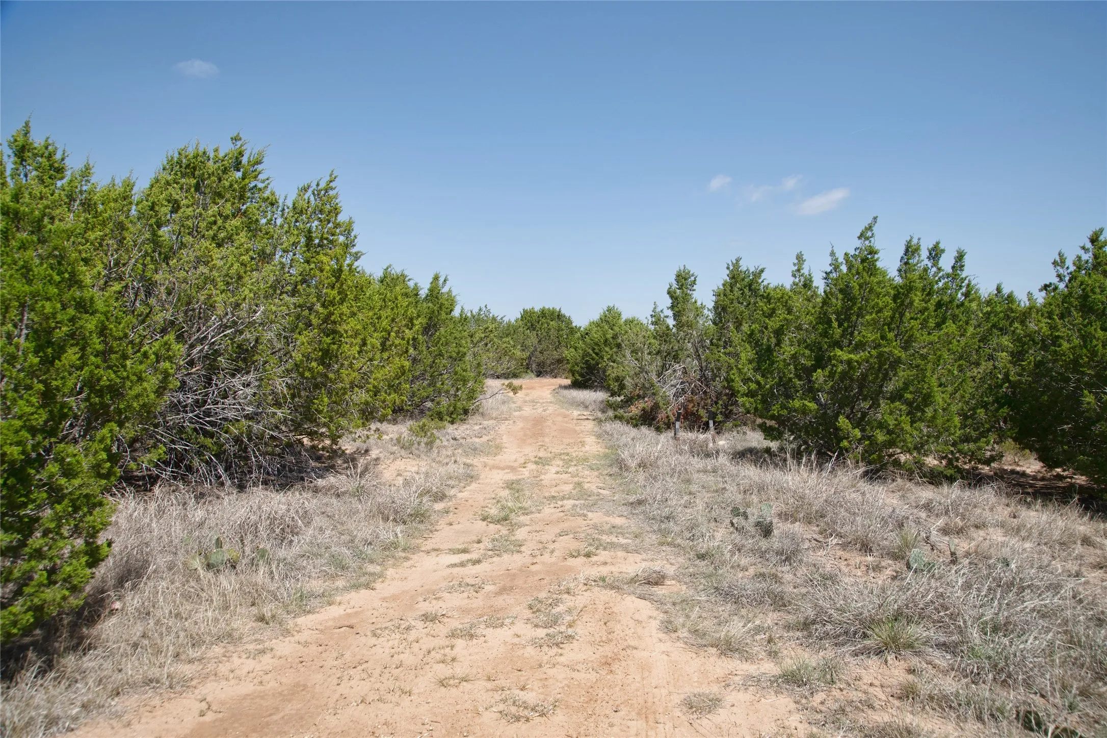 Unimproved Land For Sale in Taylor County , TBD County RD 184, Ovalo, Texas 79541, 0, 0, Garage spaces, 0 Sqft, built in 0, mls#21222544, Real Estate Agent in Ovalo, Homes For Sale in Taylor county, Homes For Sale in Ovalo, Realtor in Ovalo Texas, Real Estate Brokerage Independent Realty Texas, Luminita Cordes Realtor