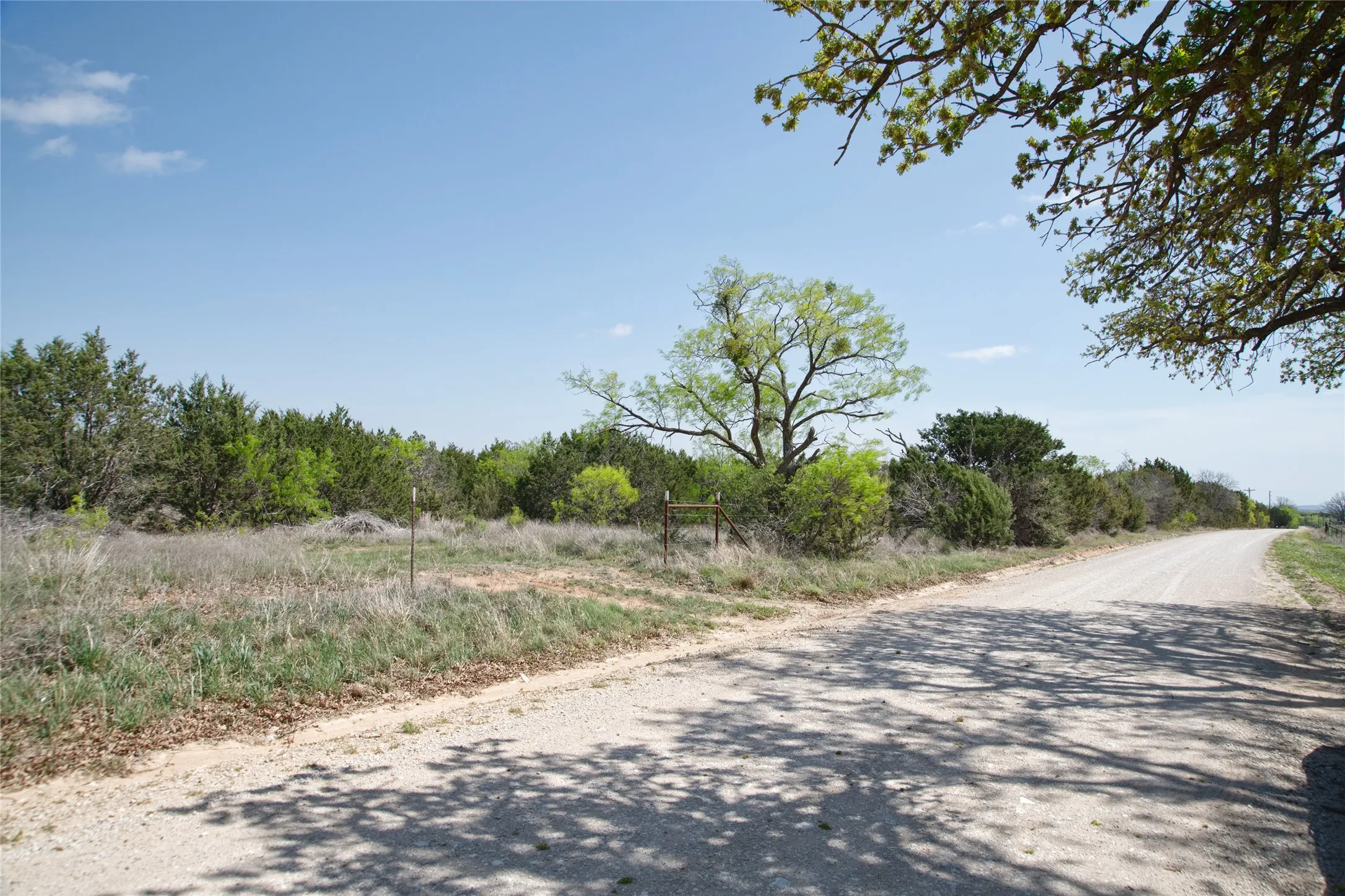 Unimproved Land For Sale in Taylor County , TBD County RD 184, Ovalo, Texas 79541, 0, 0, Garage spaces, 0 Sqft, built in 0, mls#21222544, Real Estate Agent in Ovalo, Homes For Sale in Taylor county, Homes For Sale in Ovalo, Realtor in Ovalo Texas, Real Estate Brokerage Independent Realty Texas, Luminita Cordes Realtor