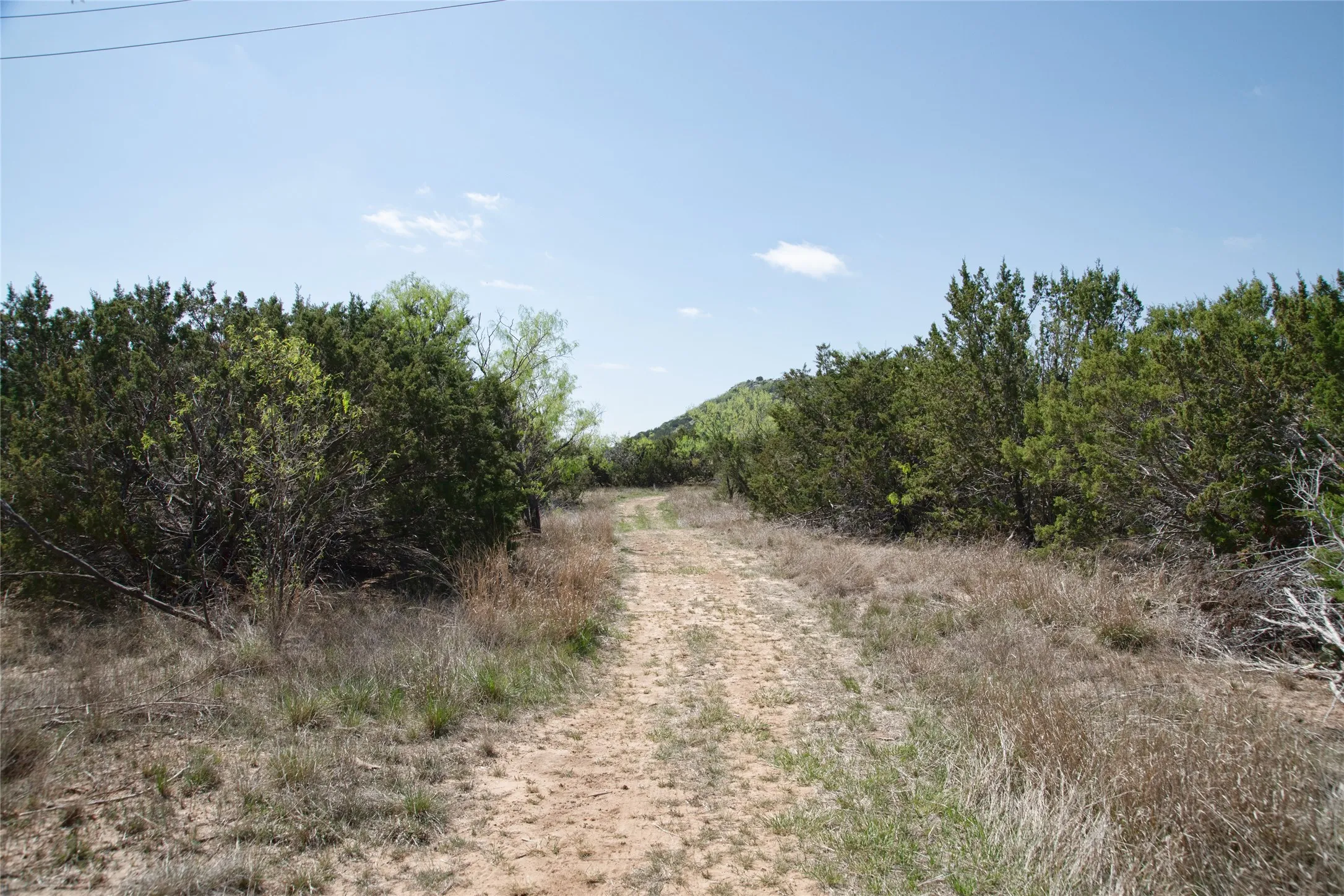 Unimproved Land For Sale in Taylor County , TBD County RD 184, Ovalo, Texas 79541, 0, 0, Garage spaces, 0 Sqft, built in 0, mls#21222544, Real Estate Agent in Ovalo, Homes For Sale in Taylor county, Homes For Sale in Ovalo, Realtor in Ovalo Texas, Real Estate Brokerage Independent Realty Texas, Luminita Cordes Realtor